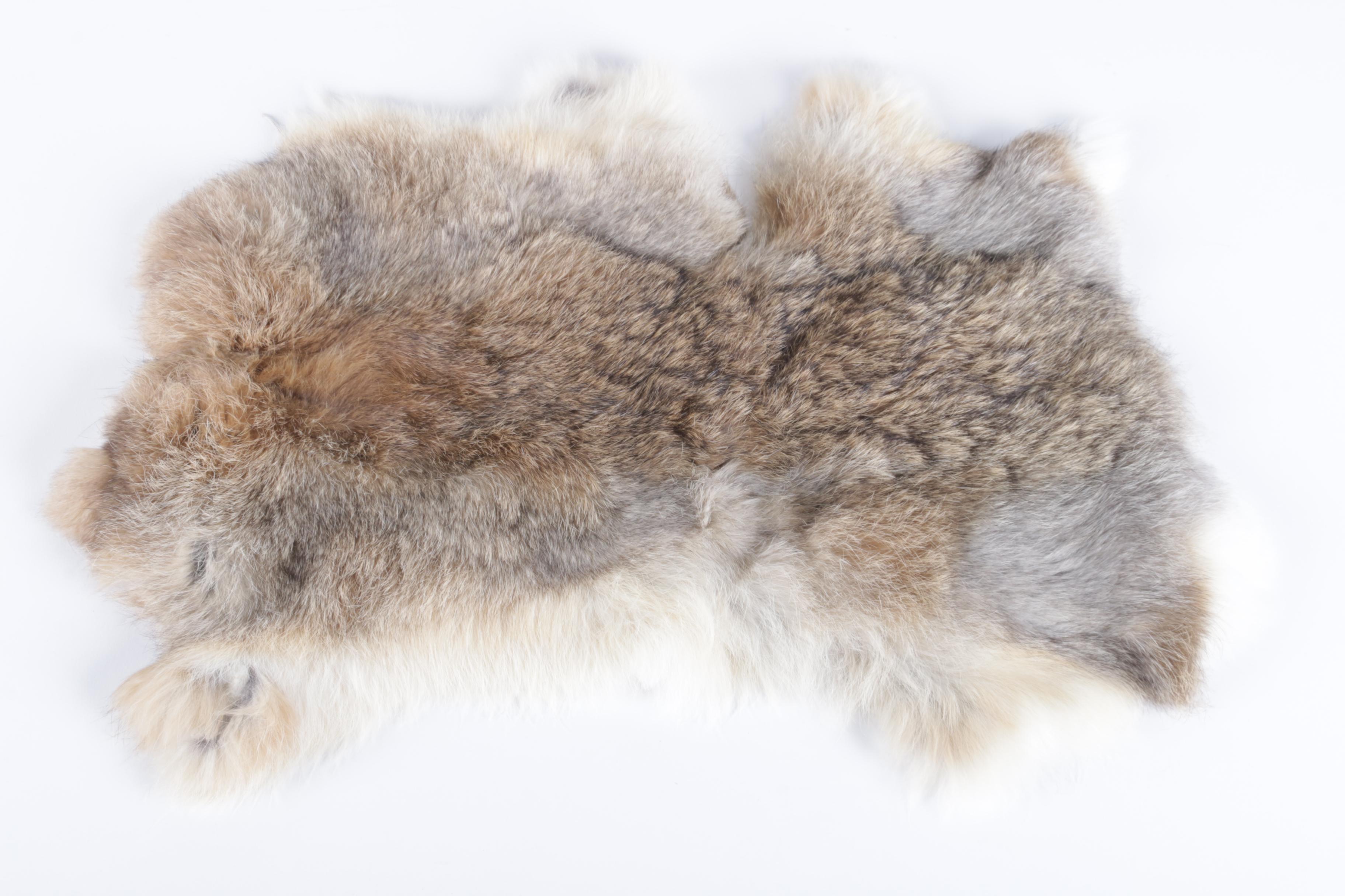 Pair of Rabbit Pelts