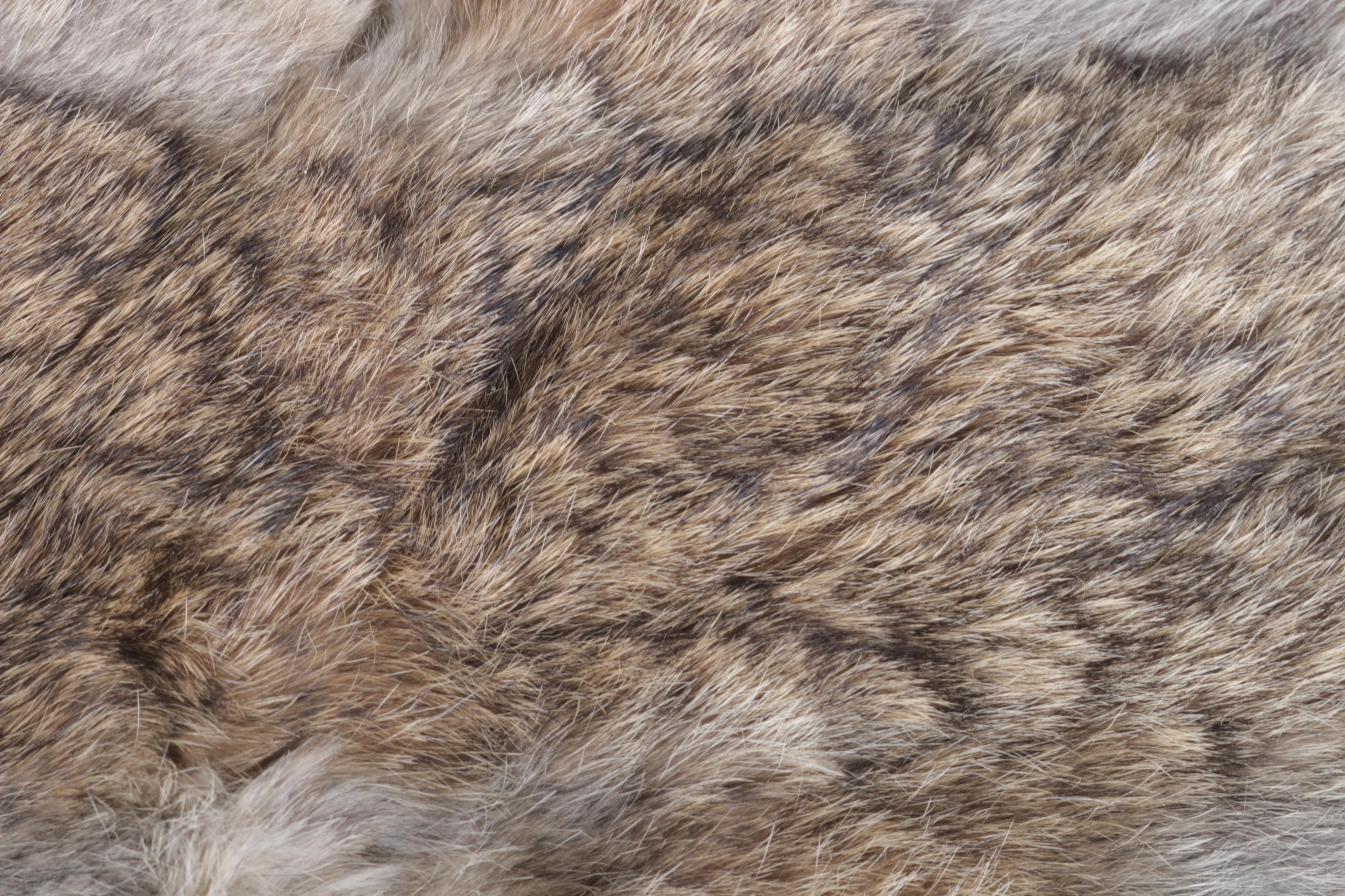 Pair of Rabbit Pelts