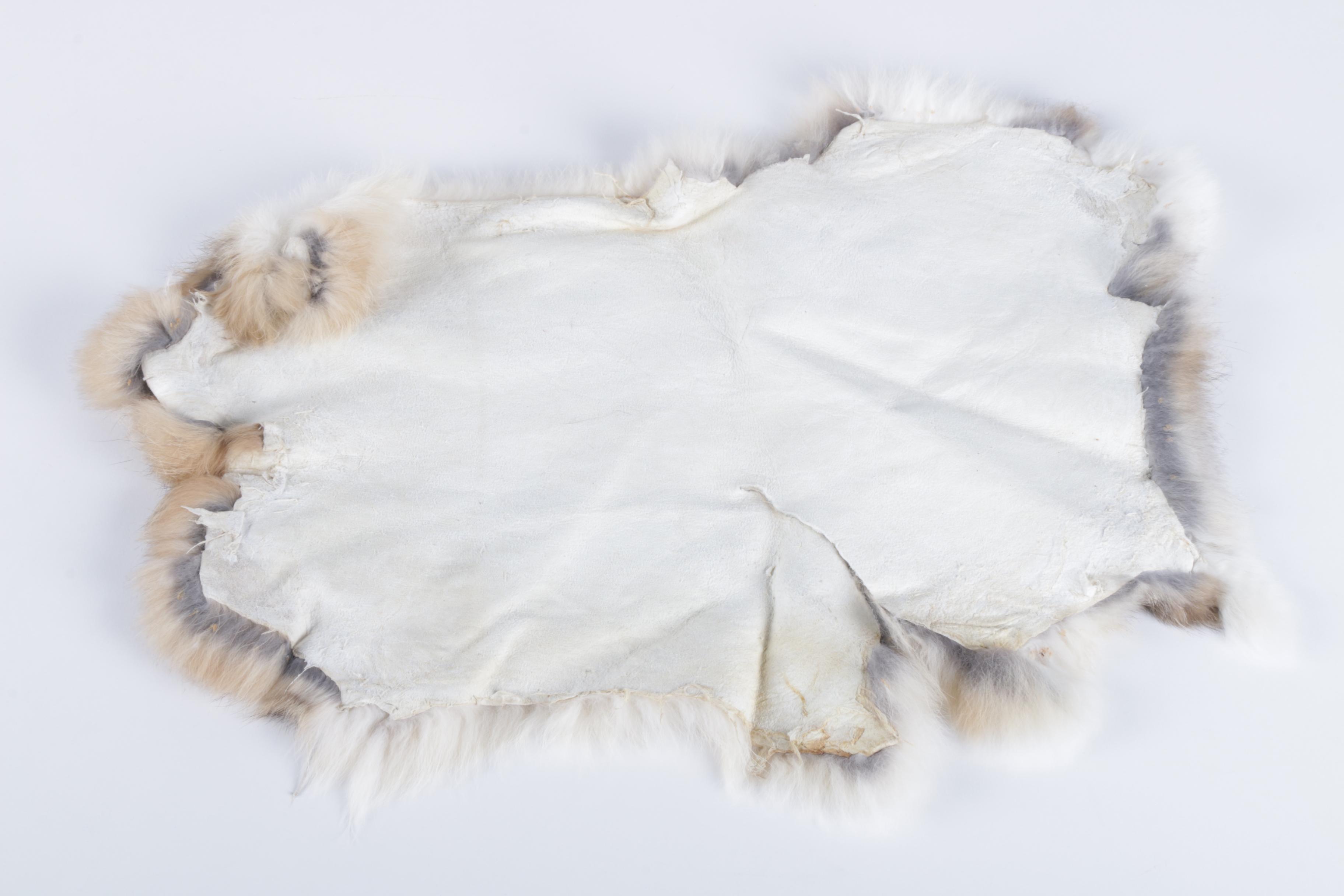 Pair of Rabbit Pelts