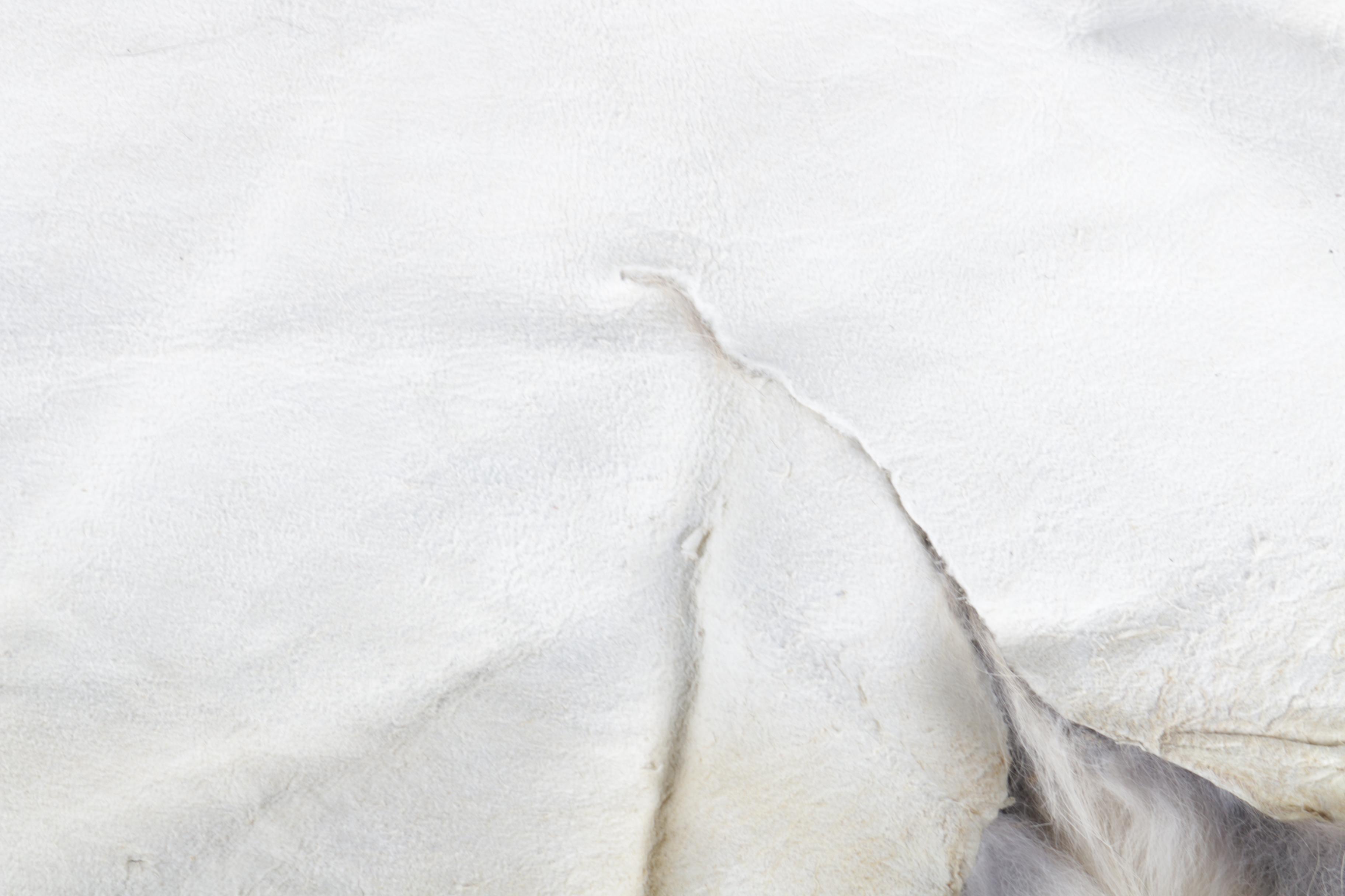 Pair of Rabbit Pelts