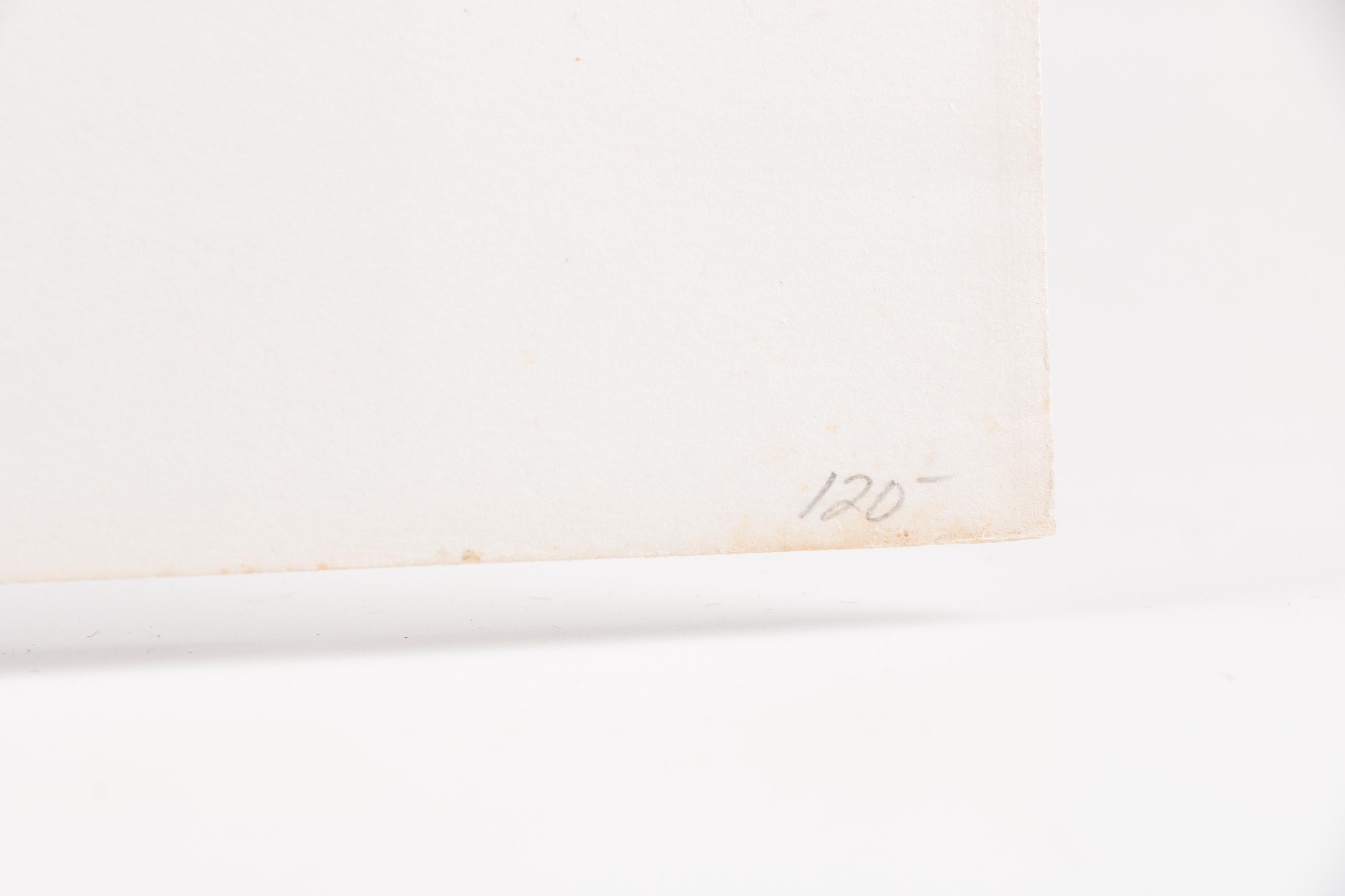 Hand Colored Lithograph on Paper "Rome-Vue Prise Du Mont Janicule"