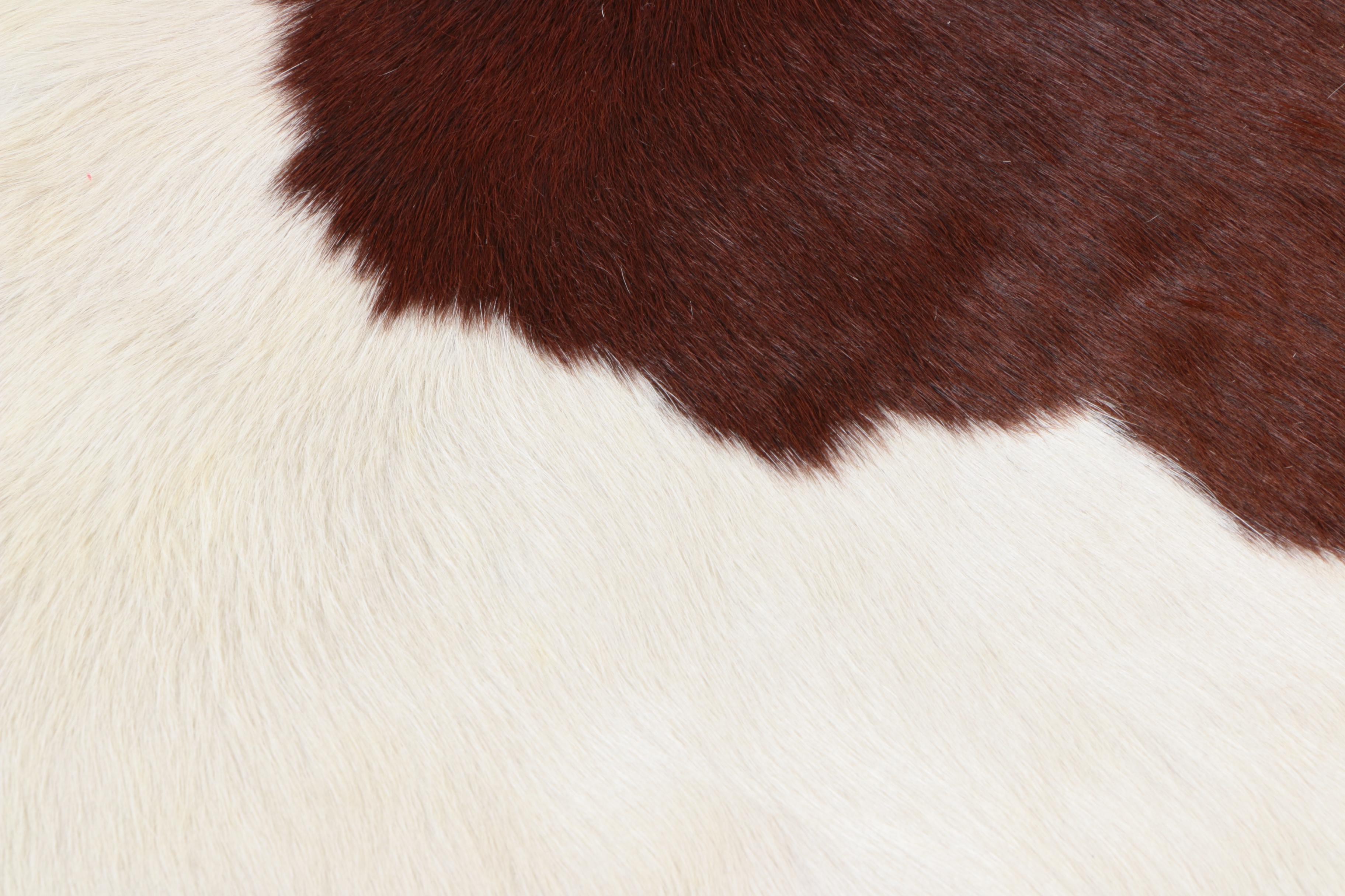 Natural Cow Hide Area Rug