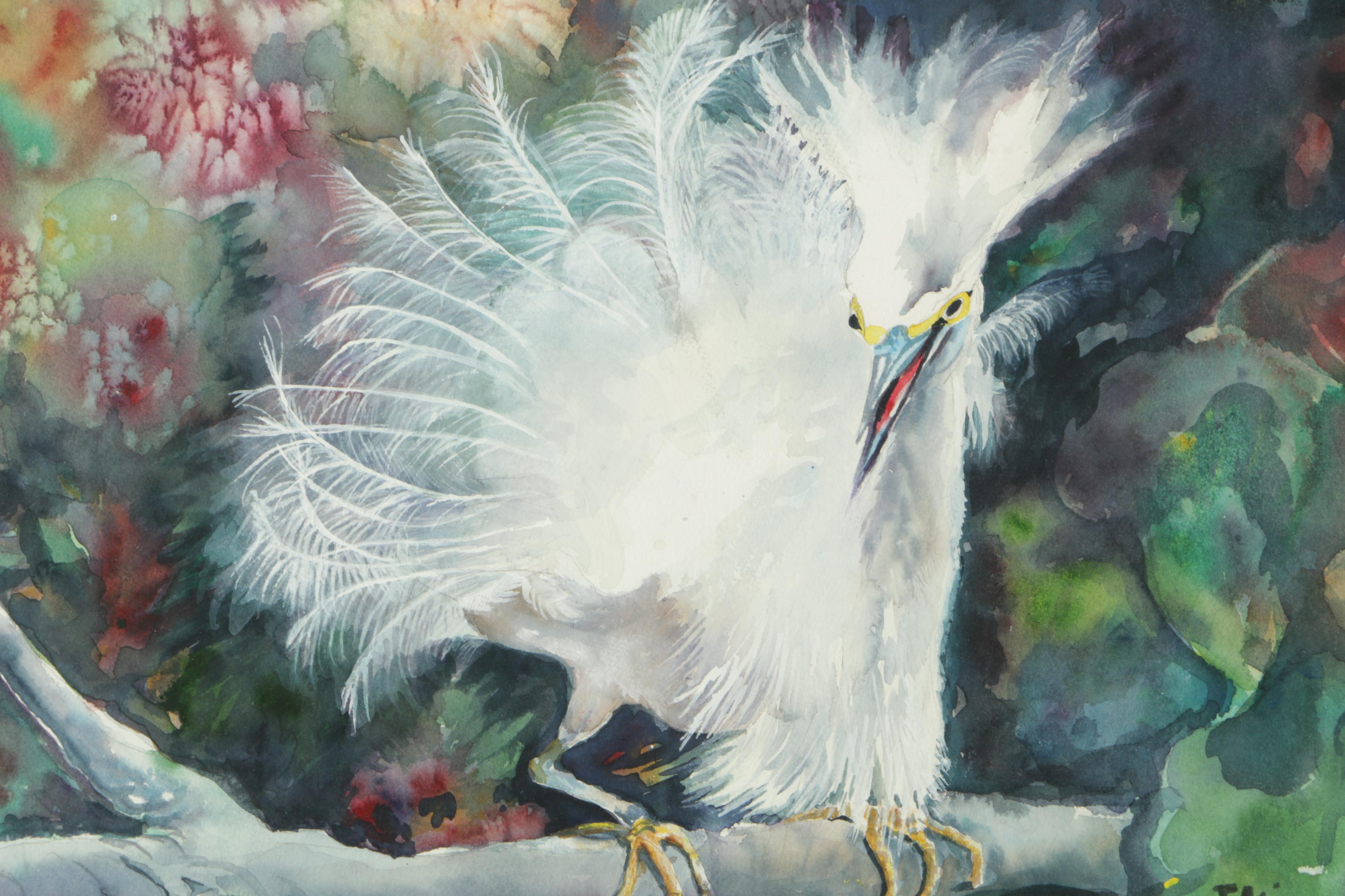 Emi Watercolor and Gouache Painting on Paper of Tropical Bird