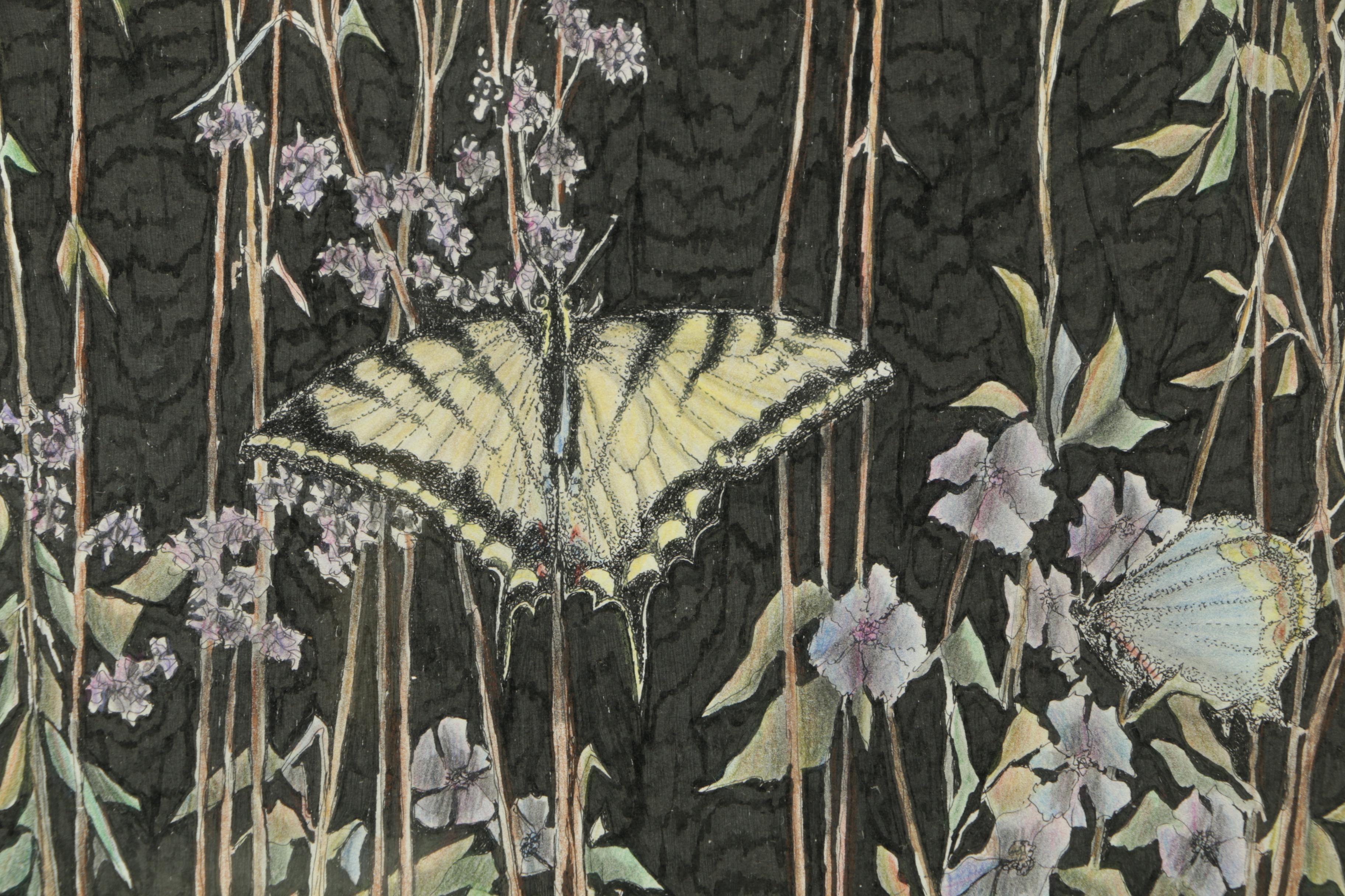 Ink and Colored Pencil Drawing of Butterflies