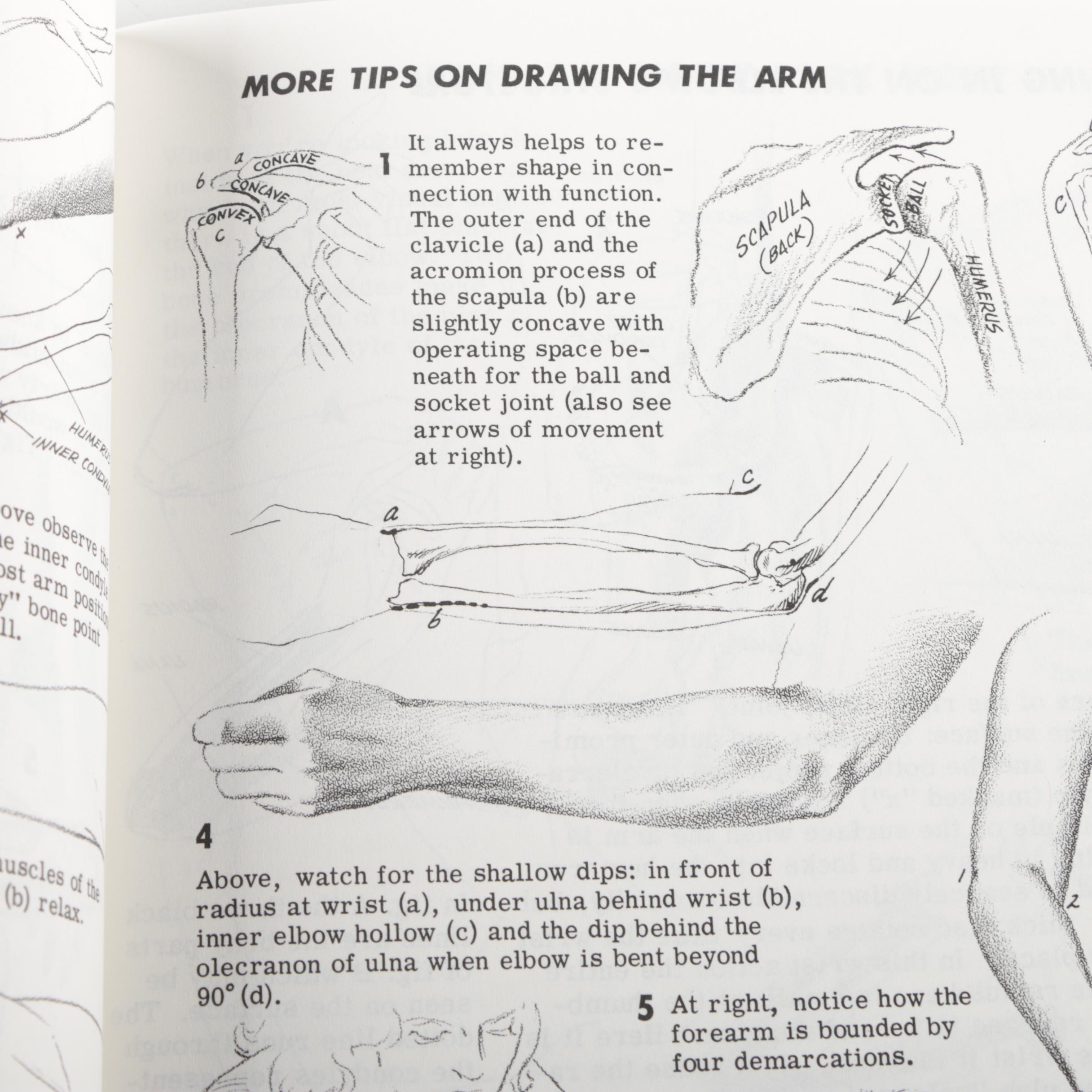 Drawing Instruction Books
