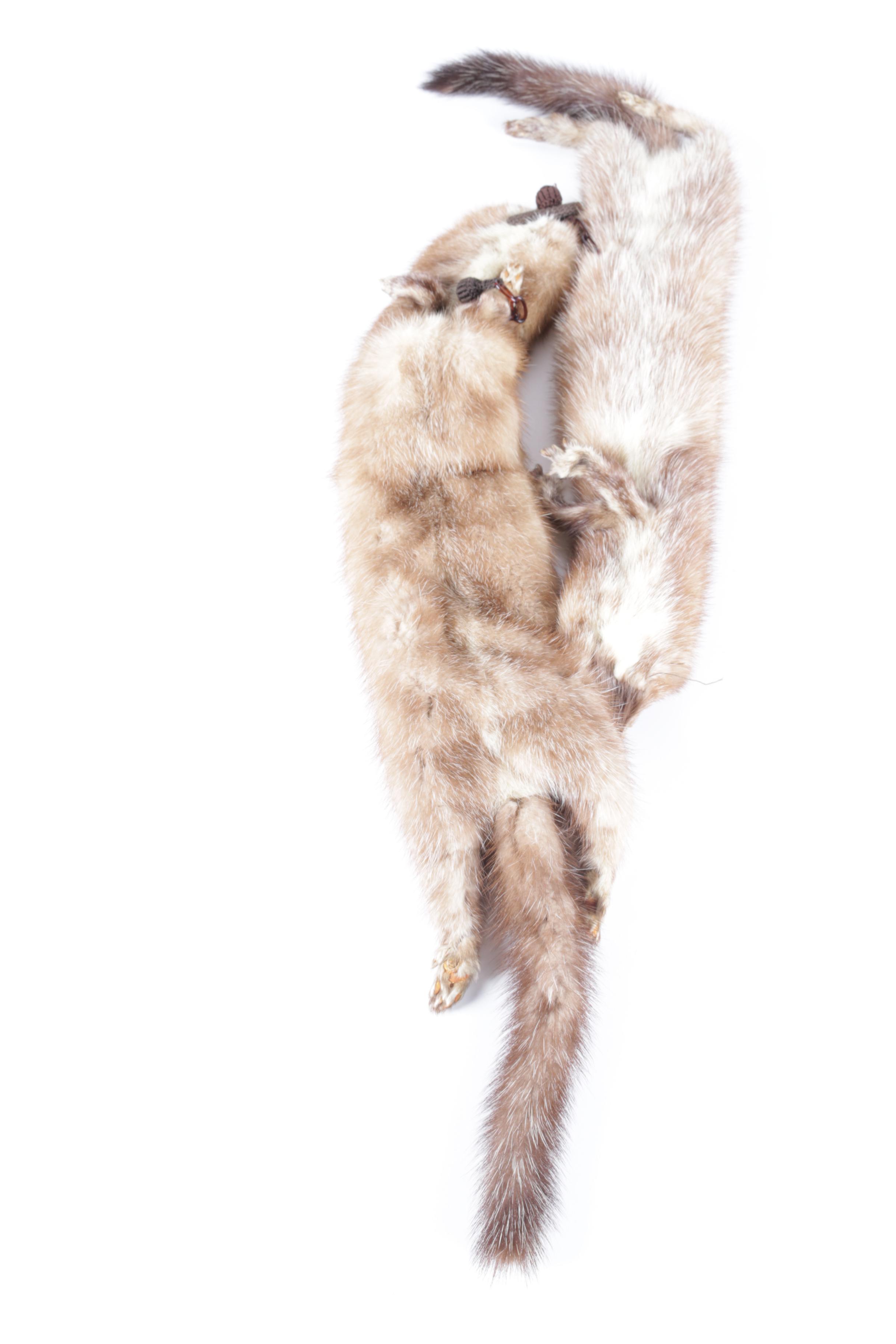 Pair of Mink Pelt Stoles and Collar