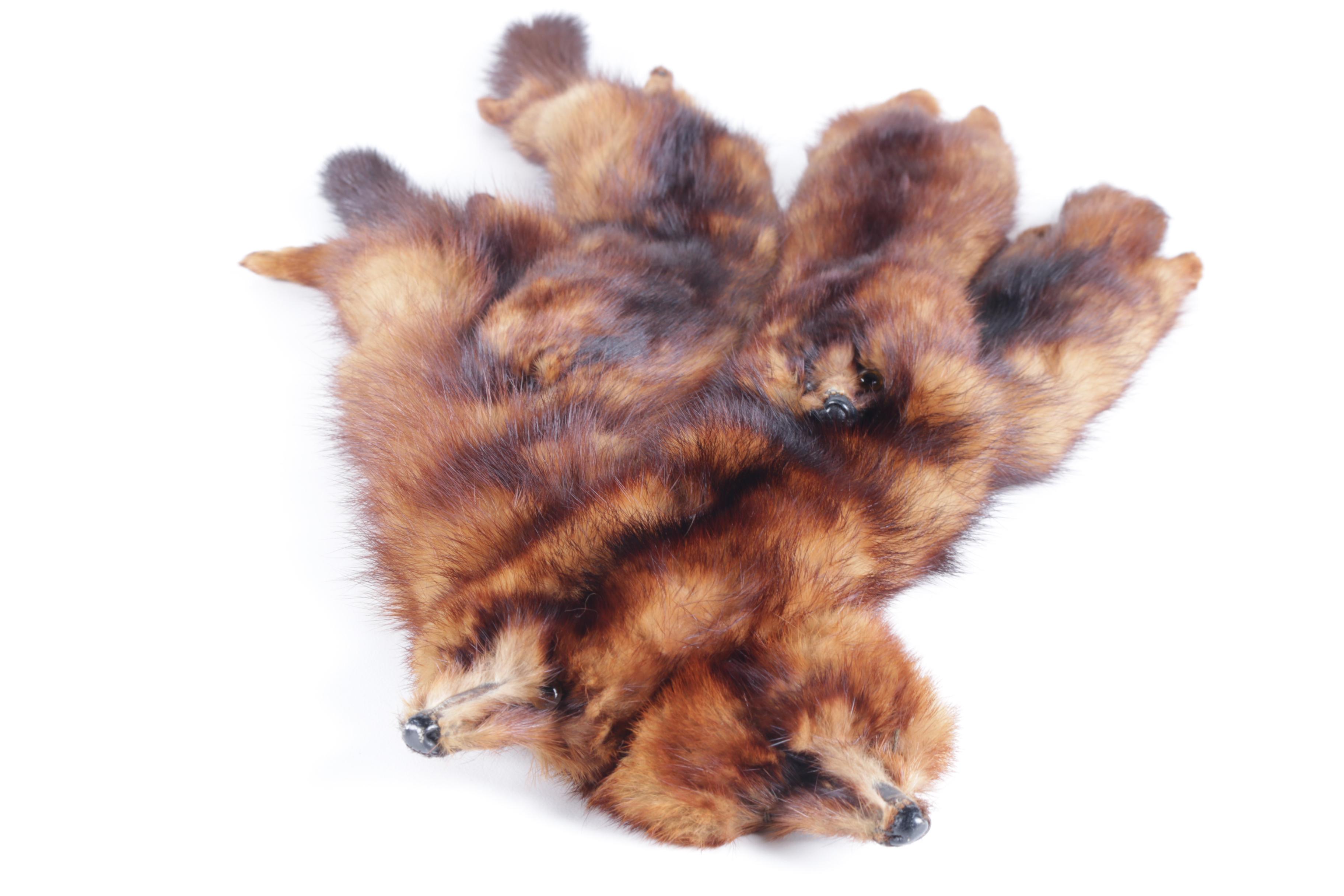 Pair of Mink Pelt Stoles and Collar