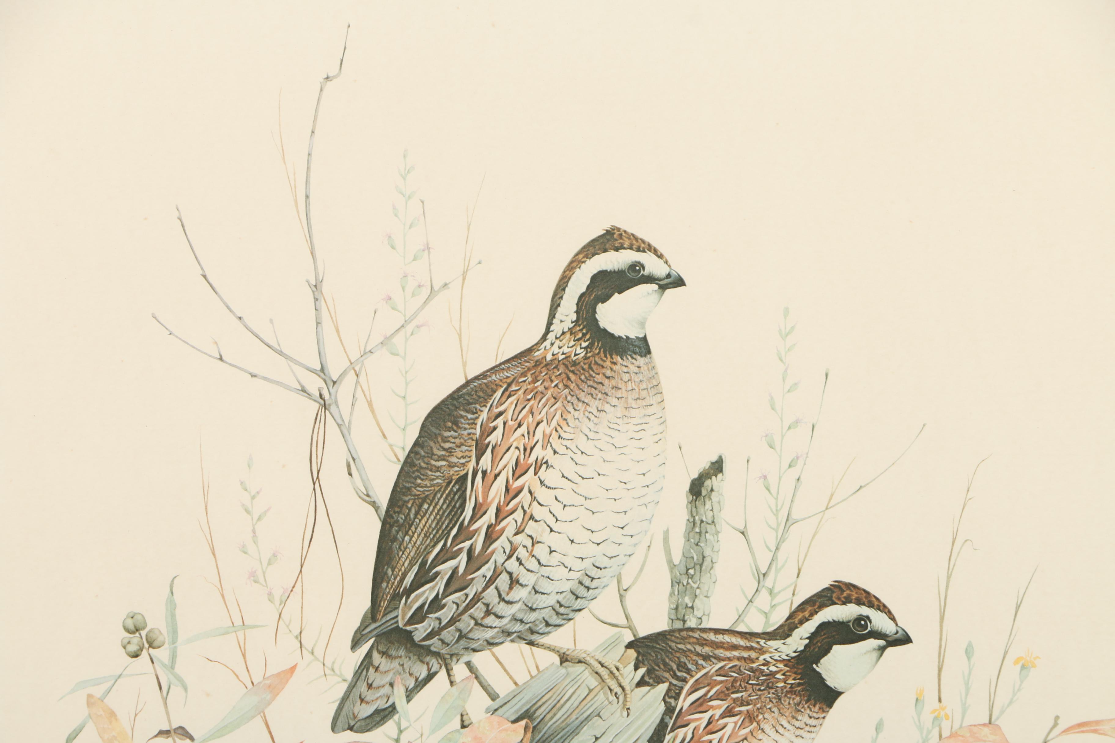 Frederick William Wetzel Limited Edition Offset Lithograph of Northern Bobwhites