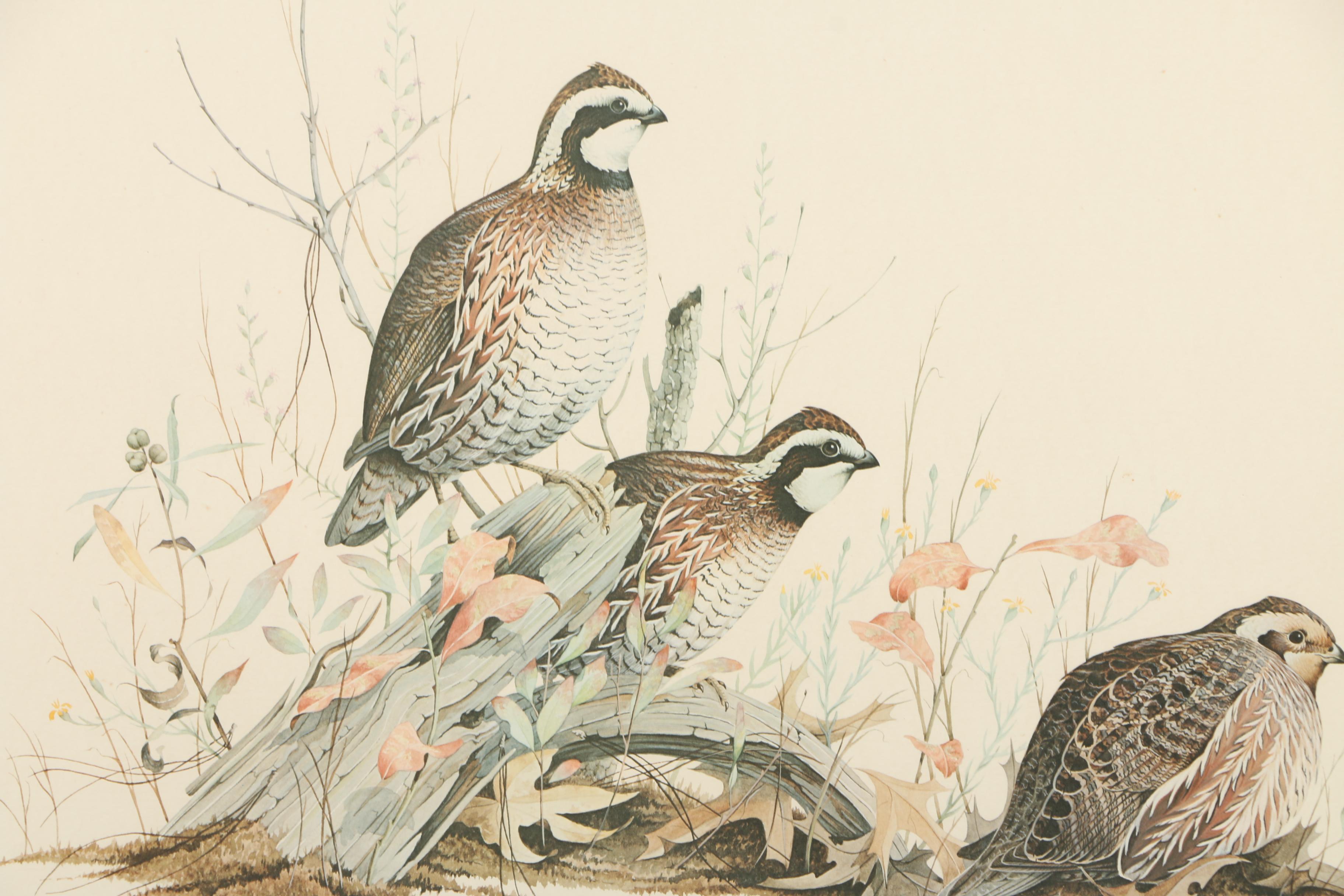 Frederick William Wetzel Limited Edition Offset Lithograph of Northern Bobwhites