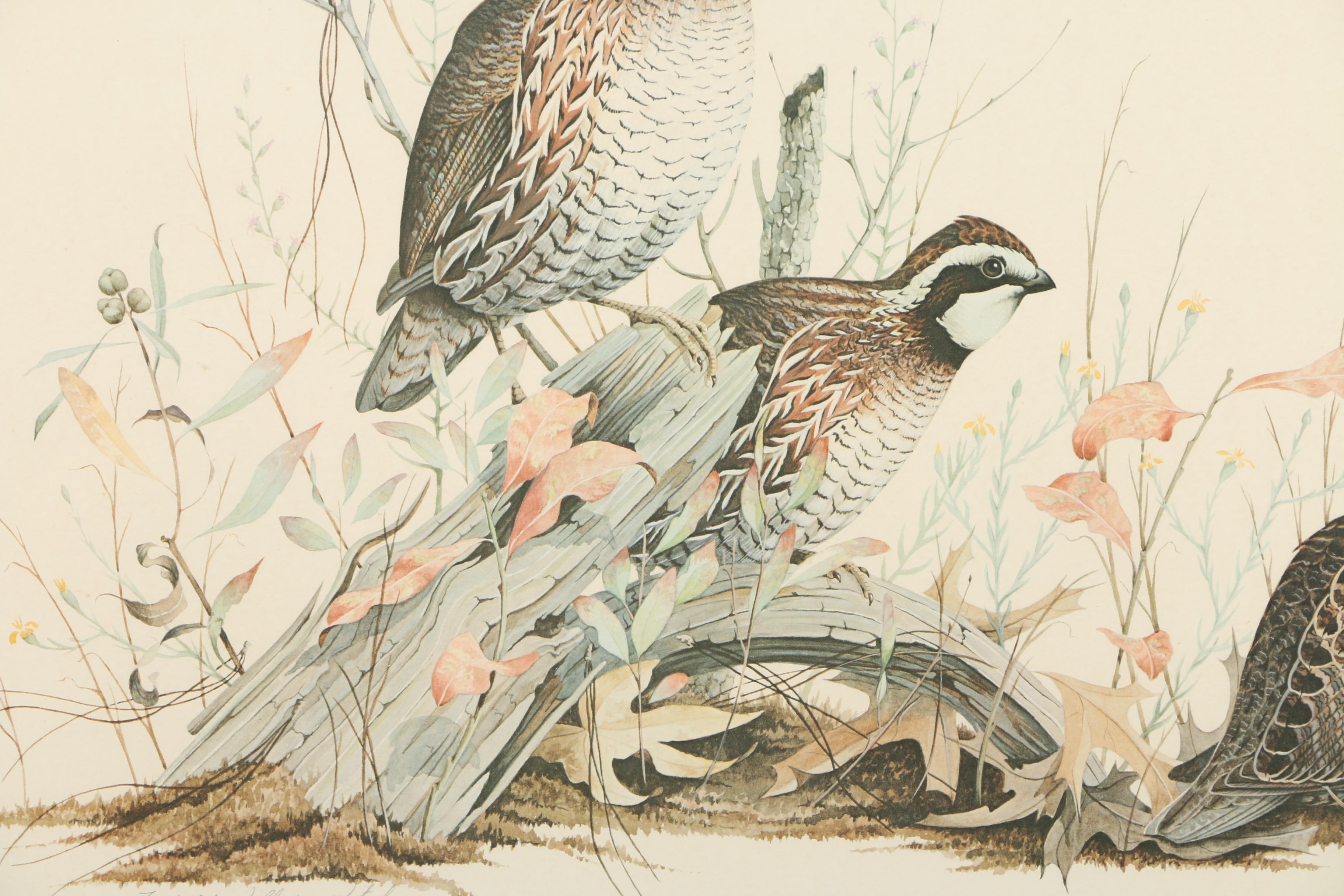 Frederick William Wetzel Limited Edition Offset Lithograph of Northern Bobwhites