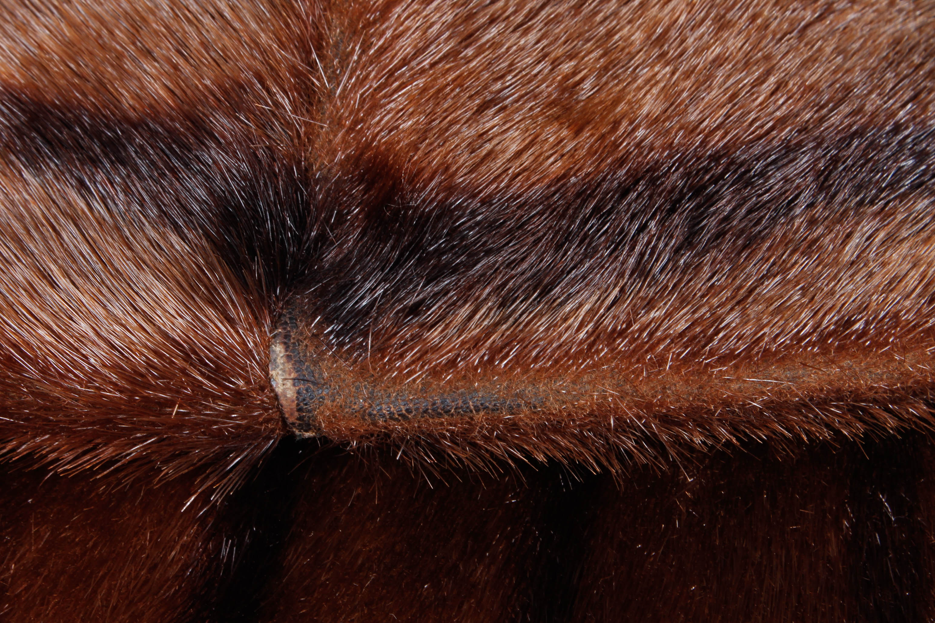 Vintage Mahogany Brown Marmot Fur Coat