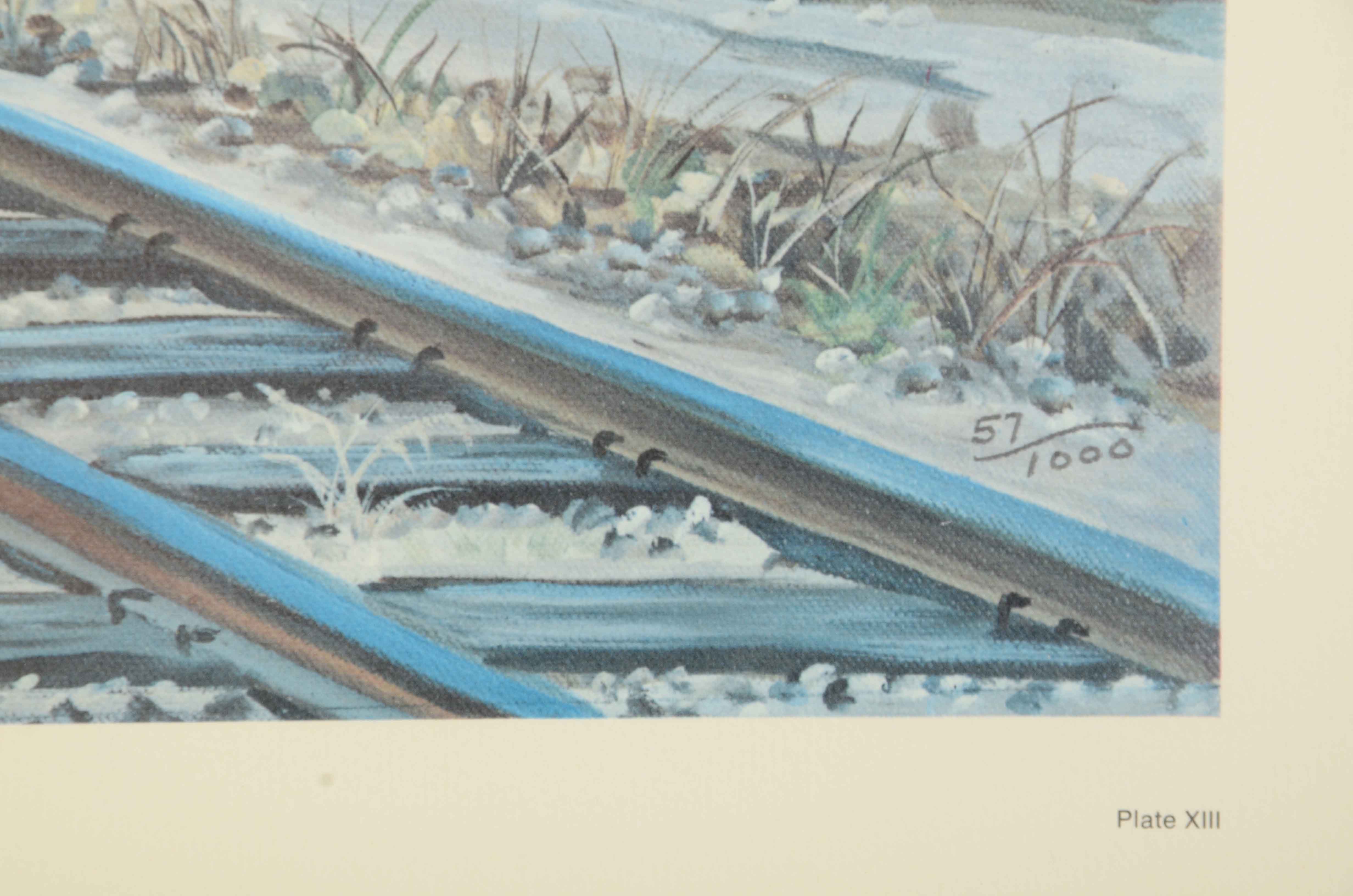 Evelyn Steinkuhl Signed Limited Edition Offset Lithgoraph "Princeton Rails"