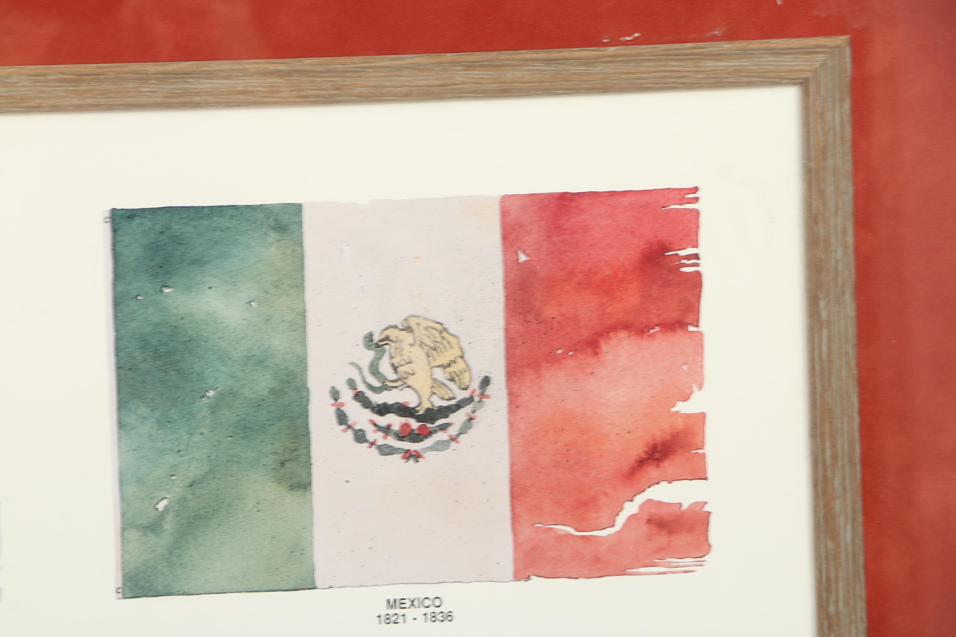 Limited Edition Reproduction Print and Watercolor Paintings of National Flags