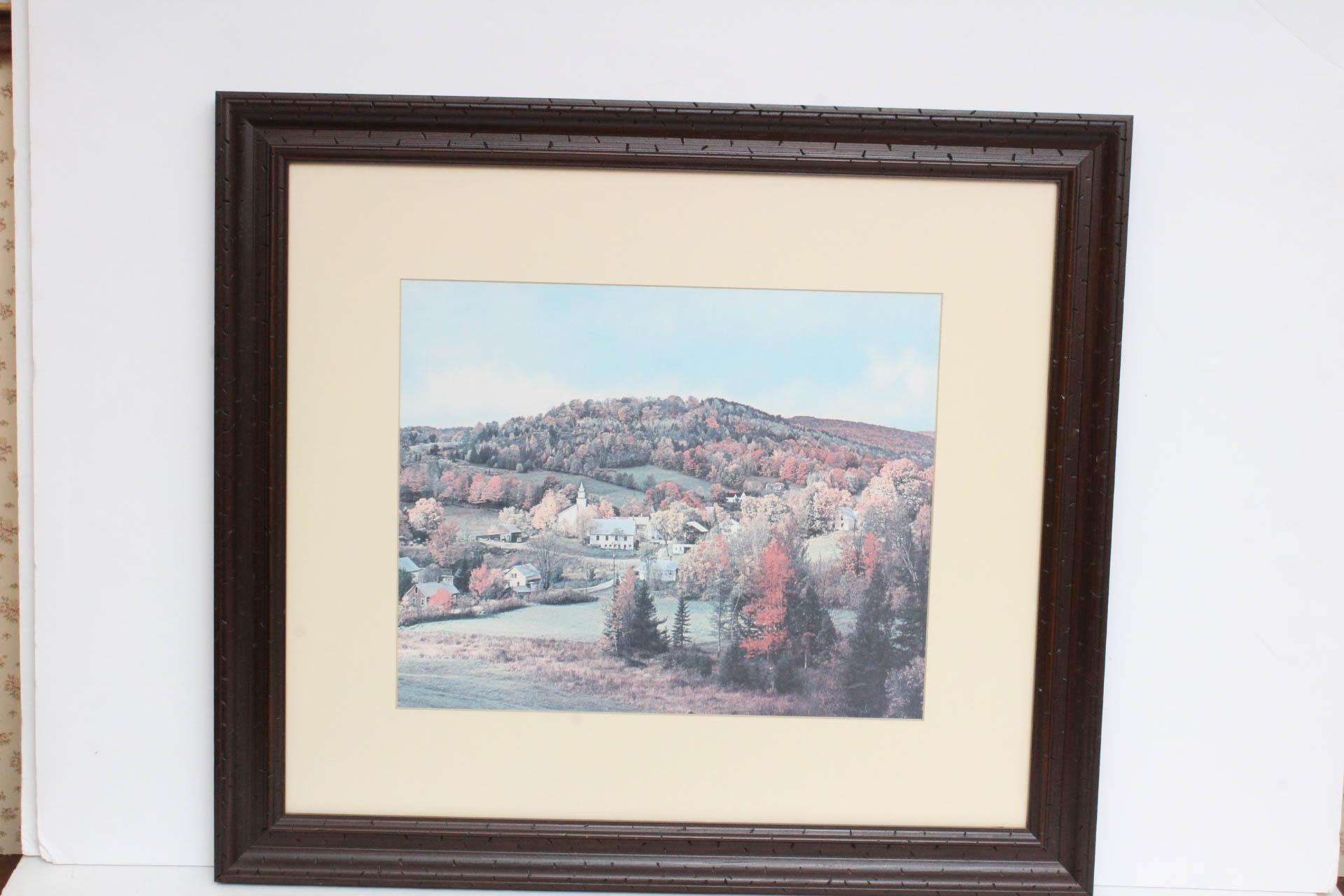 Colonial Motif Print Collection