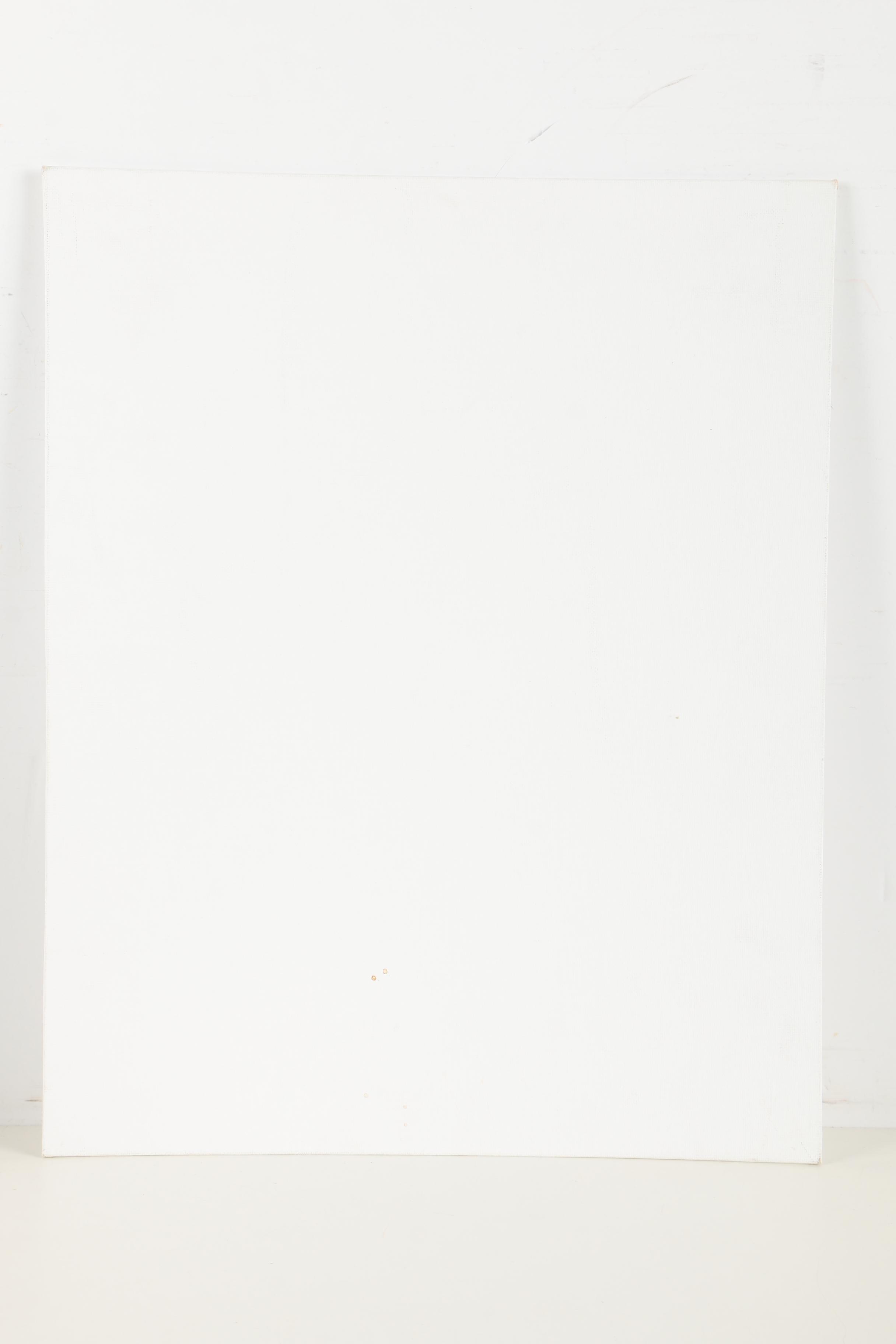 Pair of Sketchbooks and a Canvas Board