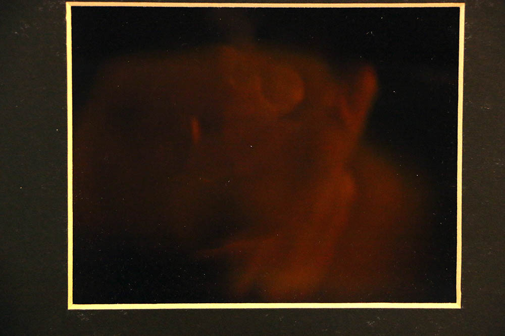 Framed Holographic Print by Fred Wilbur