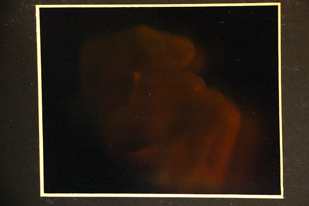 Framed Holographic Print by Fred Wilbur