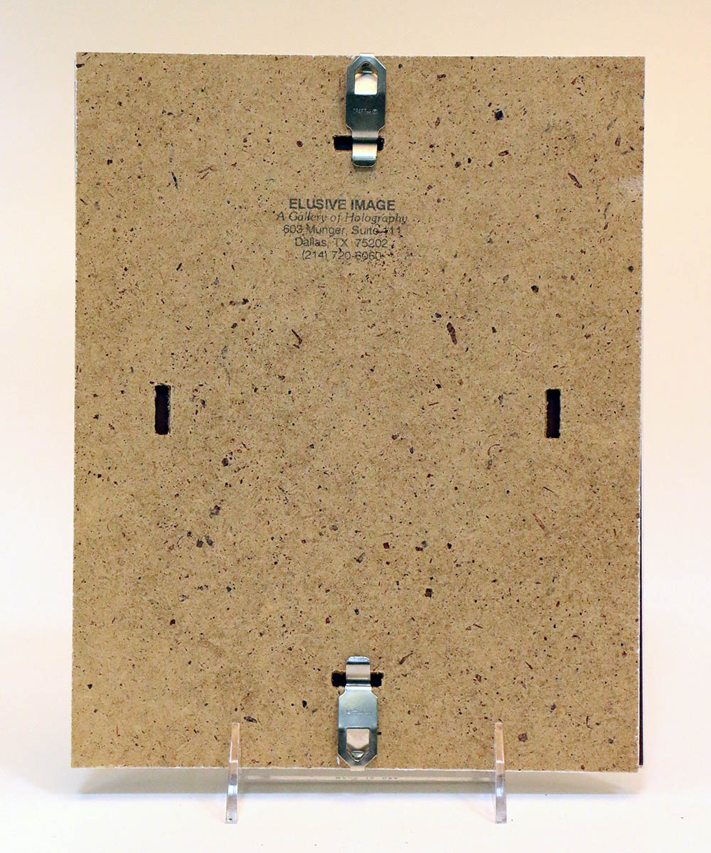 Framed Holographic Print by Fred Wilbur