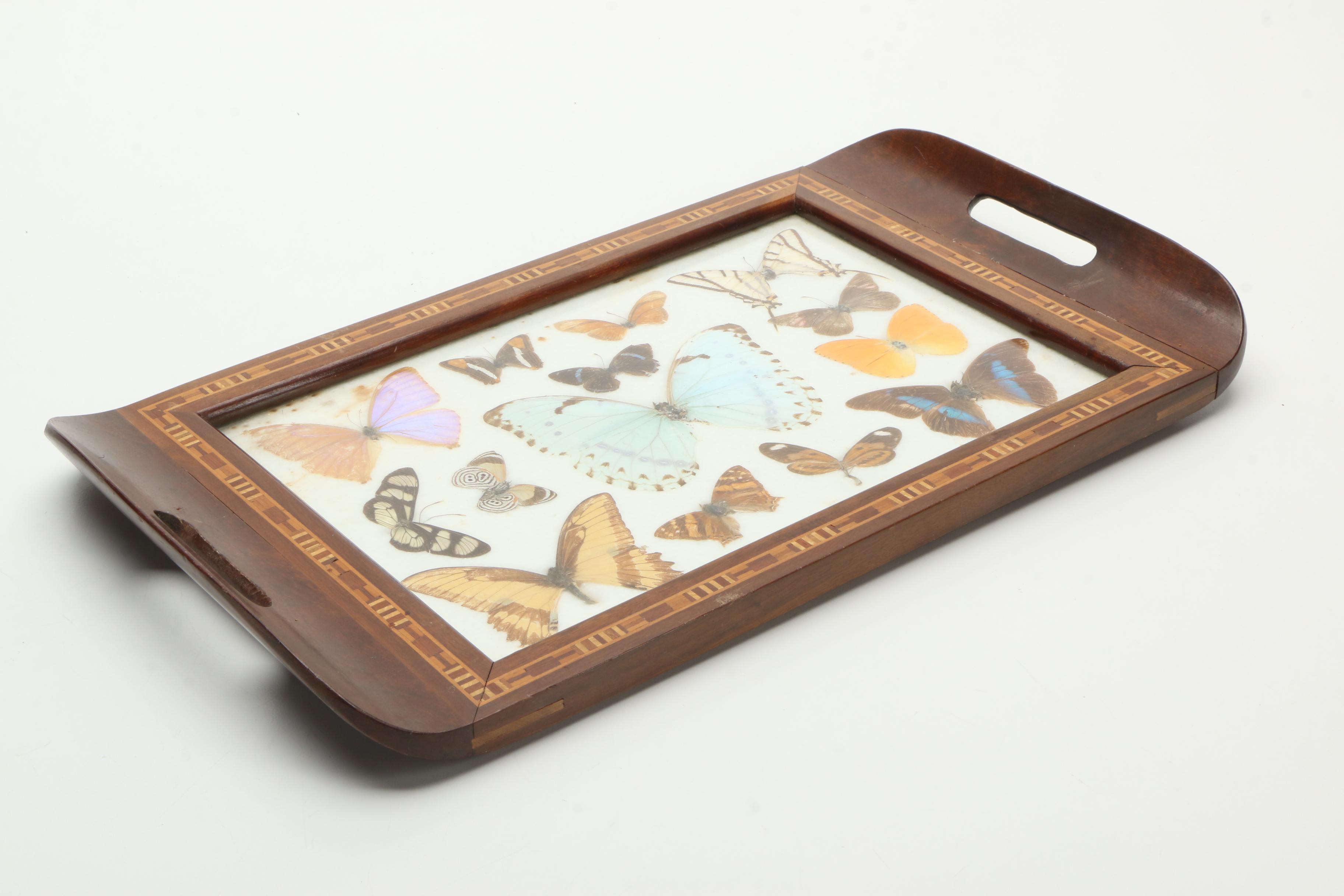 Vintage Carlos Zipperer Mounted Butterflies Tray from Brazil
