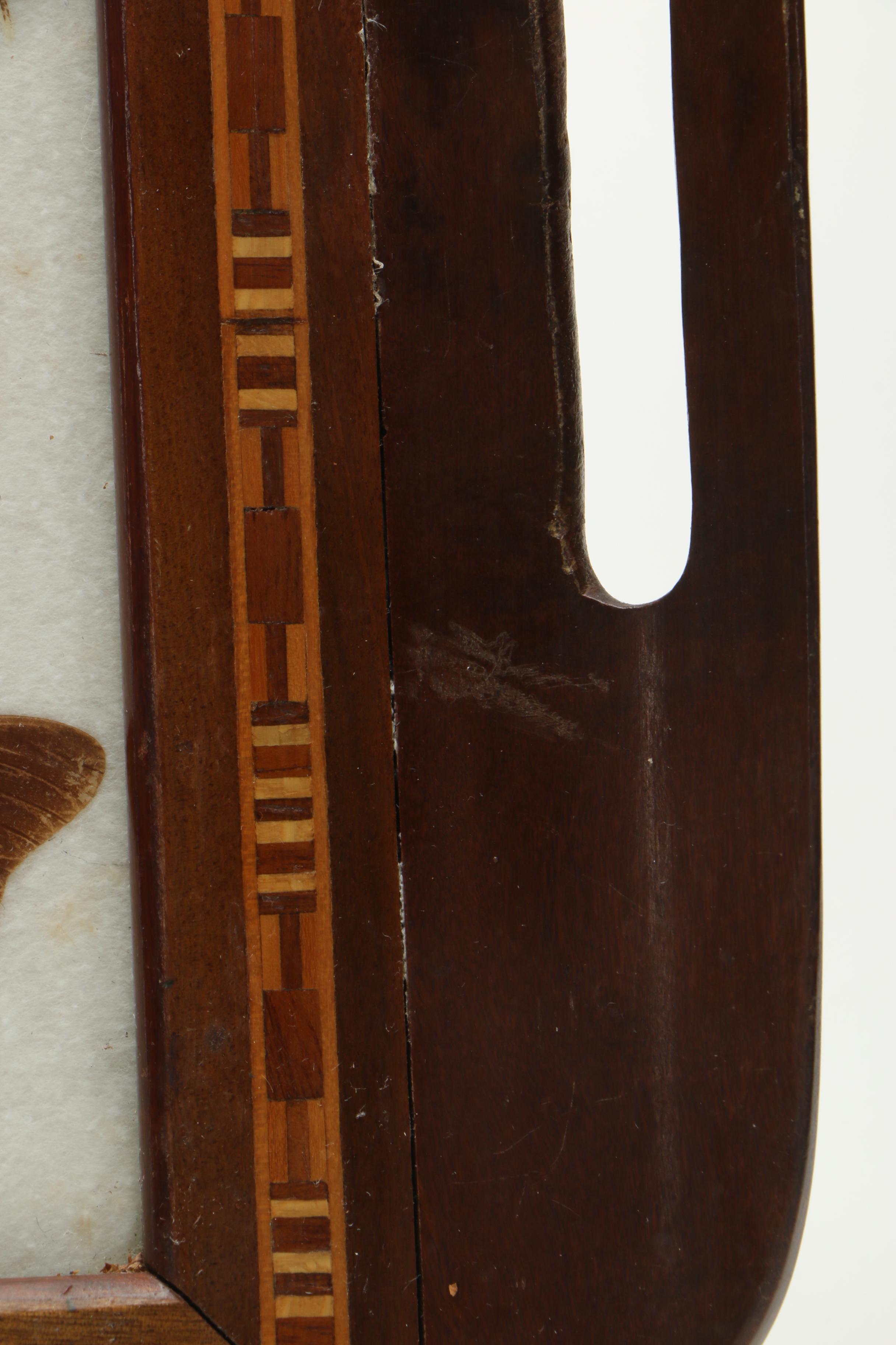 Vintage Carlos Zipperer Mounted Butterflies Tray from Brazil