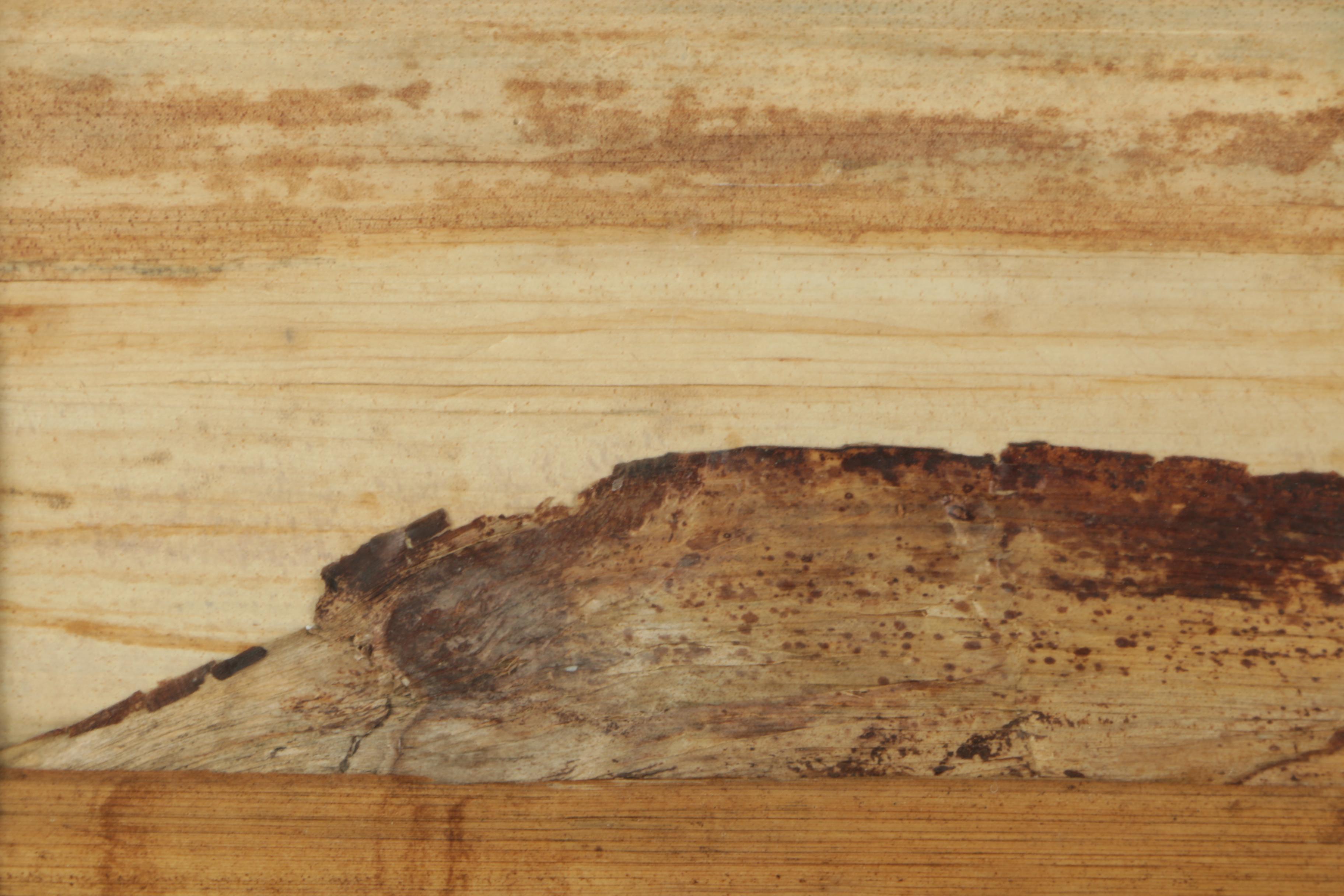 Banana Bark Collage of Hawaiian Landscape