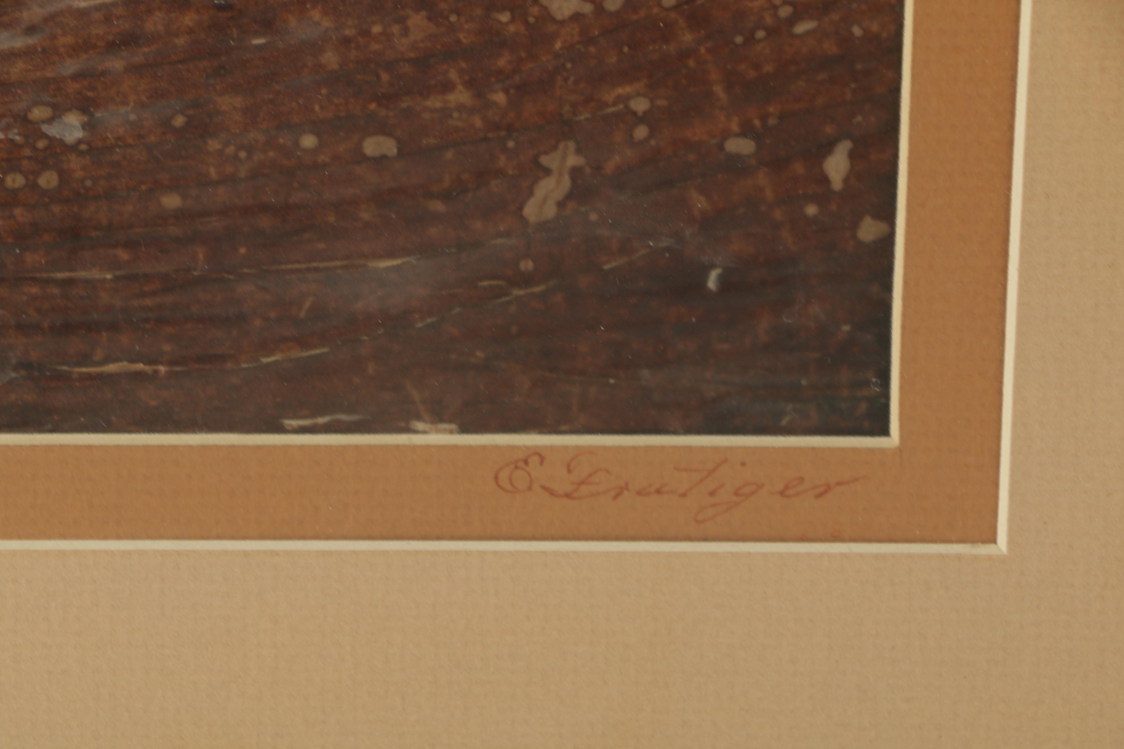 Banana Bark Collage of Hawaiian Landscape