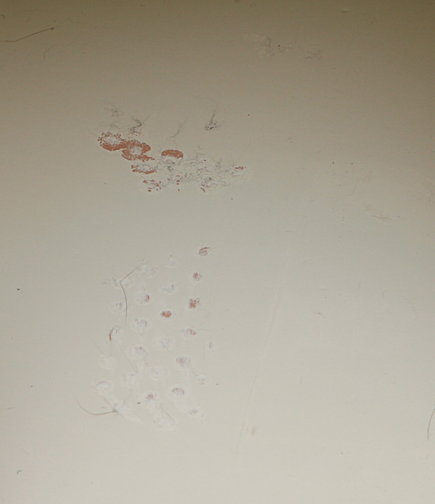 Contemporary White Side Table