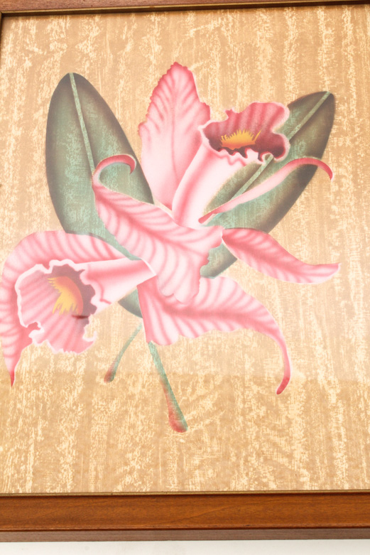 Vintage Print of Pink Orchid