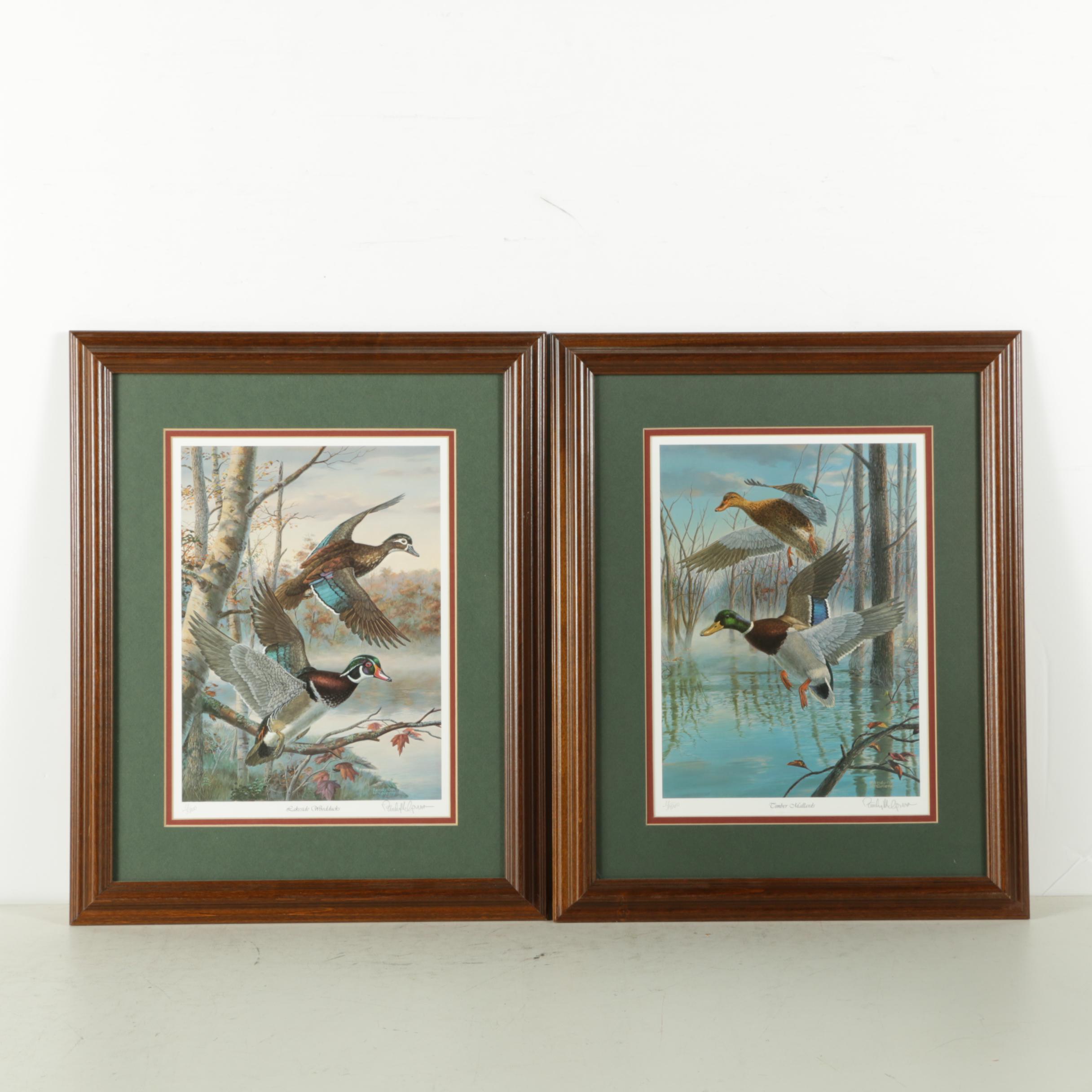 Randy McGovern Limited Edition Reproduction Prints of Mallard Ducks