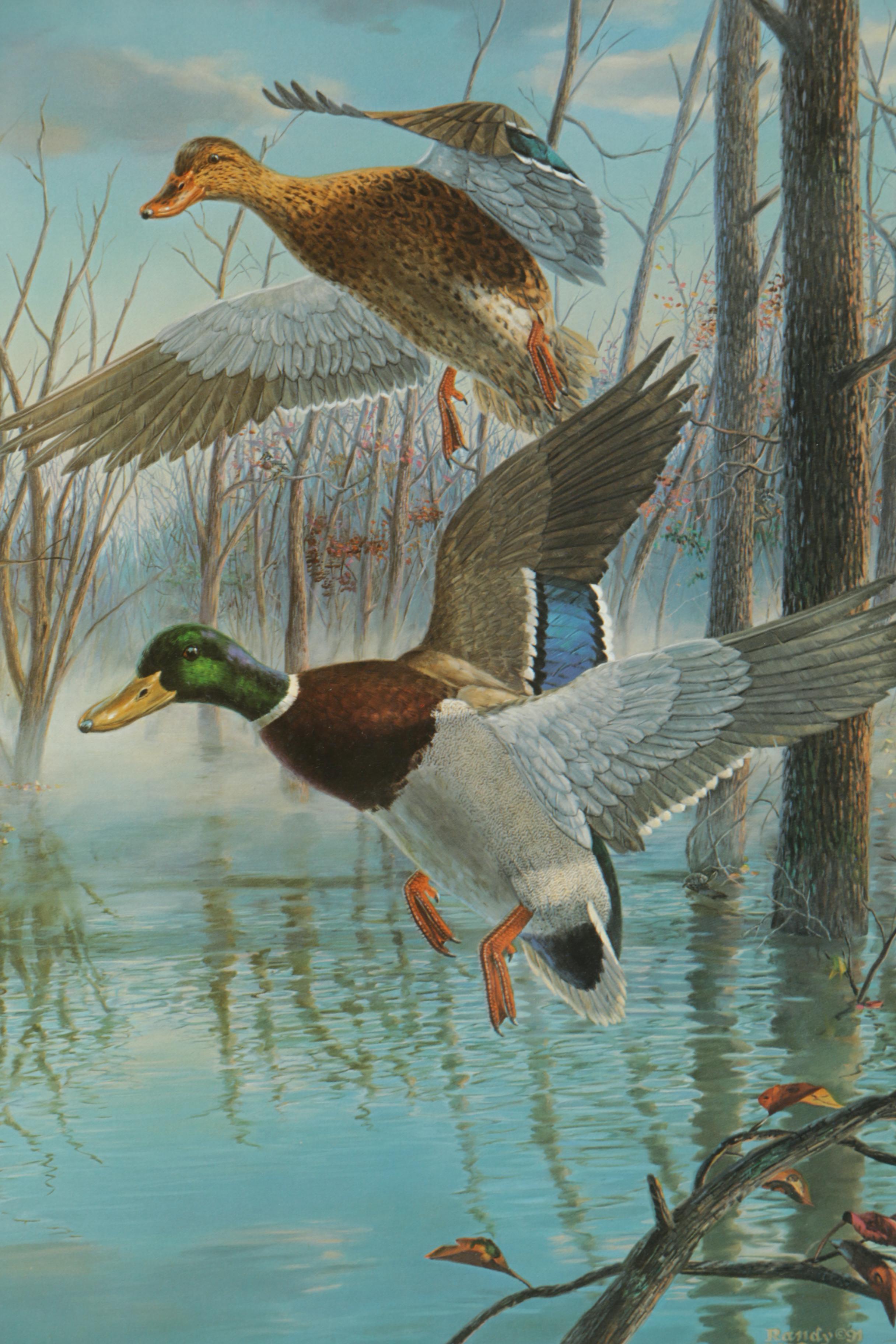 Randy McGovern Limited Edition Reproduction Prints of Mallard Ducks