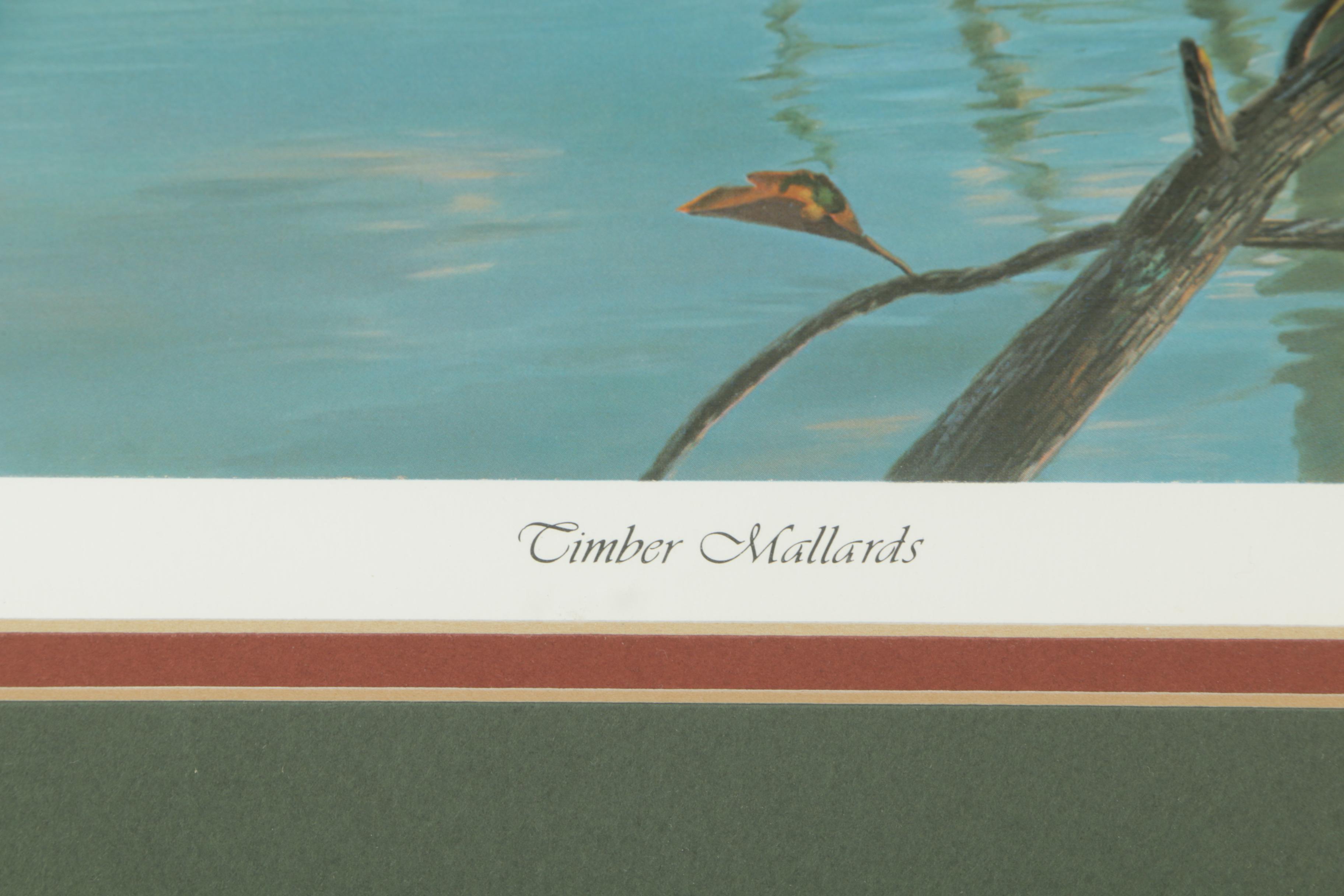 Randy McGovern Limited Edition Reproduction Prints of Mallard Ducks