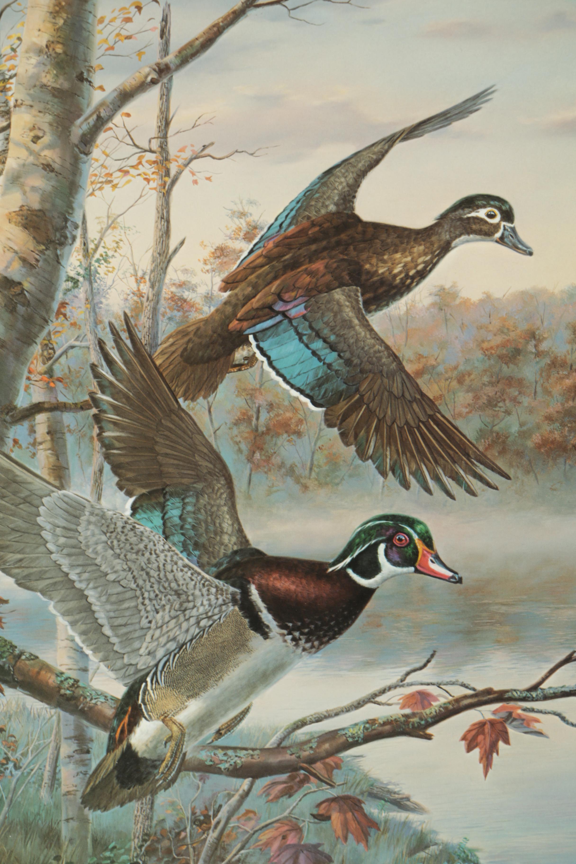 Randy McGovern Limited Edition Reproduction Prints of Mallard Ducks