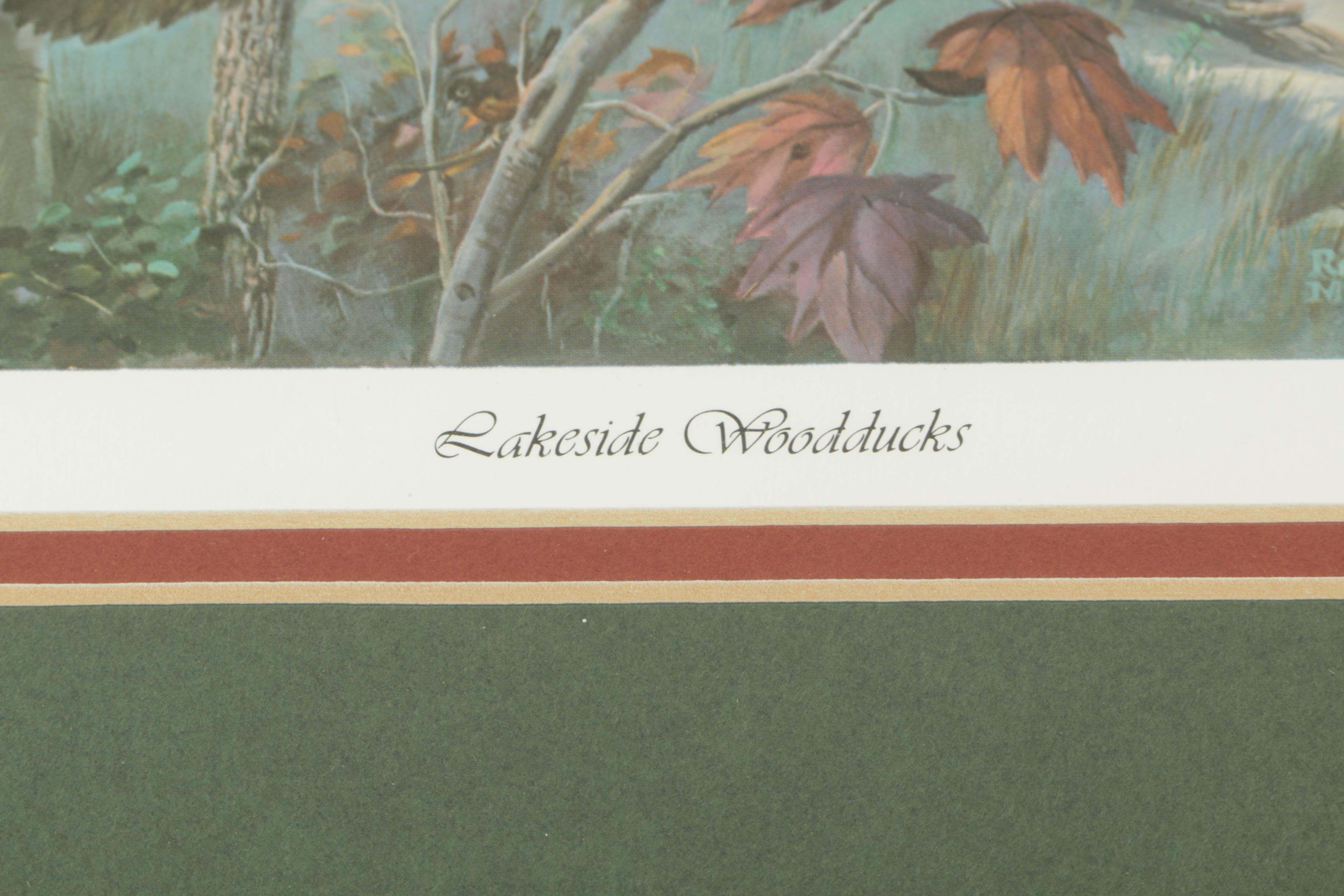 Randy McGovern Limited Edition Reproduction Prints of Mallard Ducks