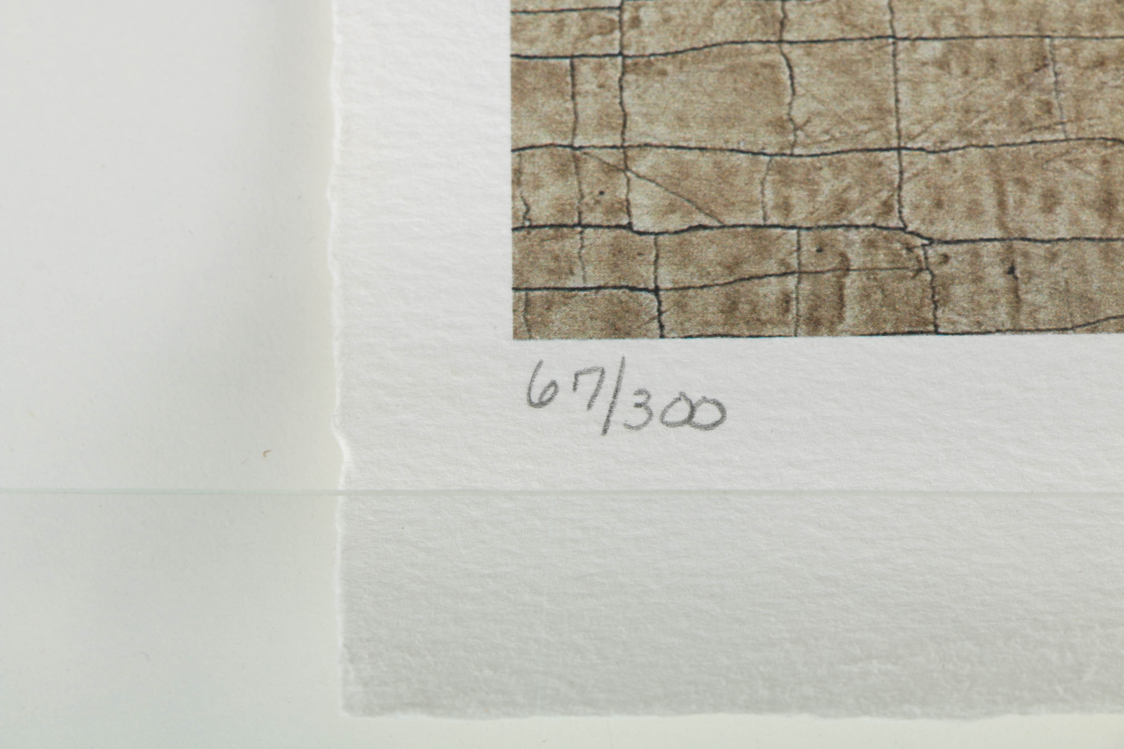 Jacques Lamy Limited Edition Offset Lithograph of a Still-Life