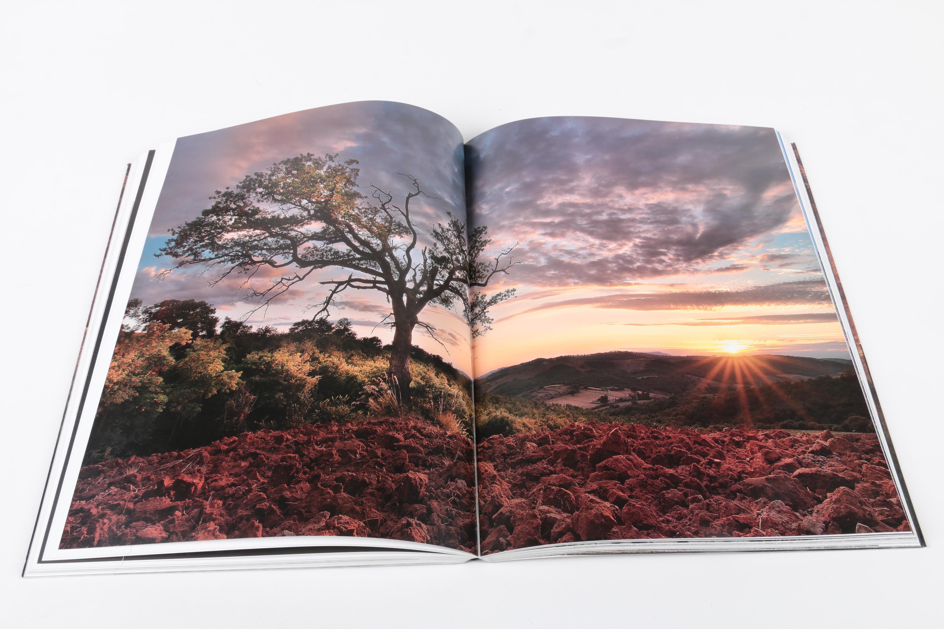 Books on Italian Design