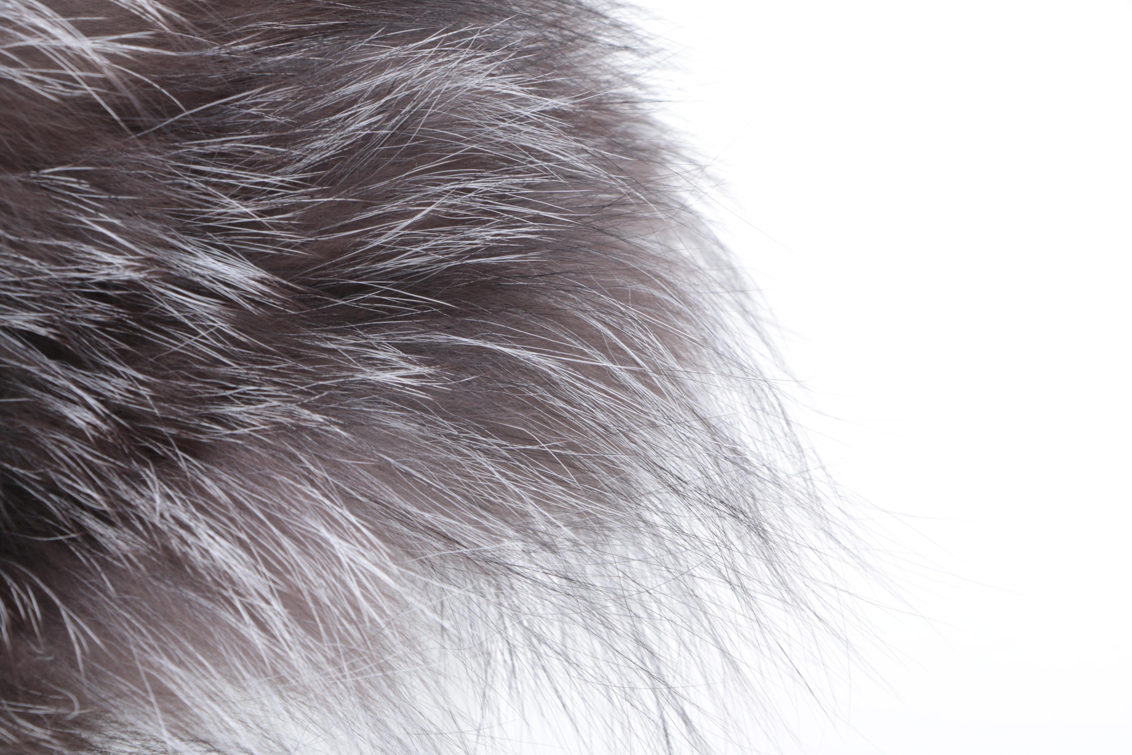 Pair of Fur Hats