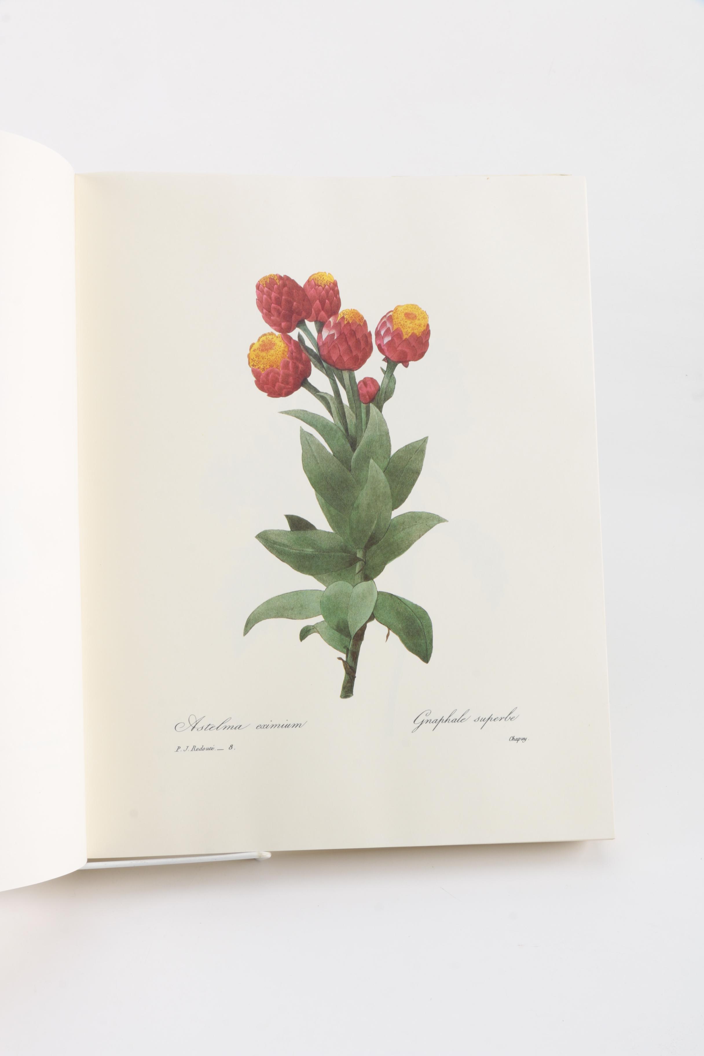 "The Most Beautiful Flowers" by Pierre Joseph Redoute