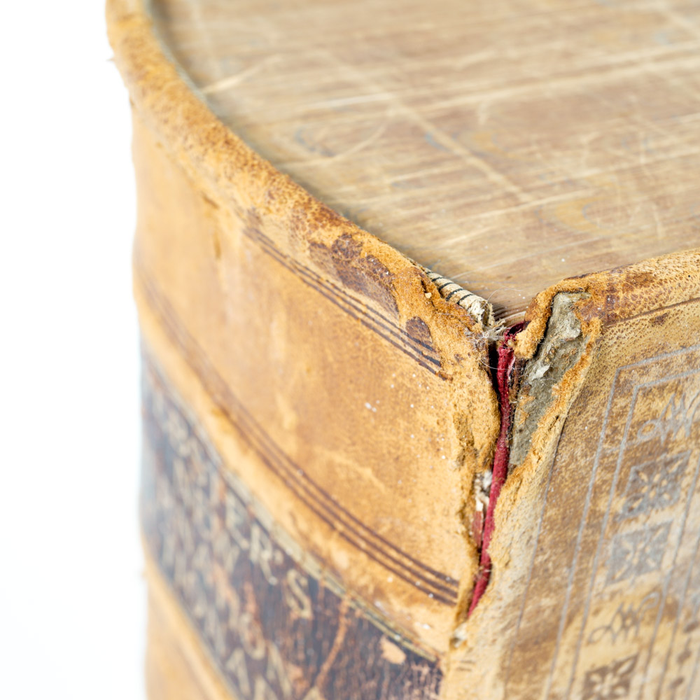 Antique copy of "Websters New International Dictionary of the English Language"