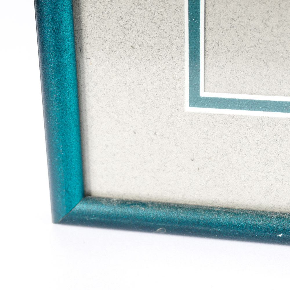 Donovan McNabb Autographed Jersey