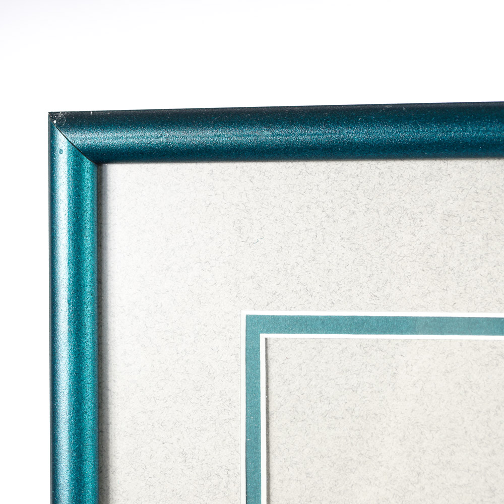 Donovan McNabb Autographed Jersey