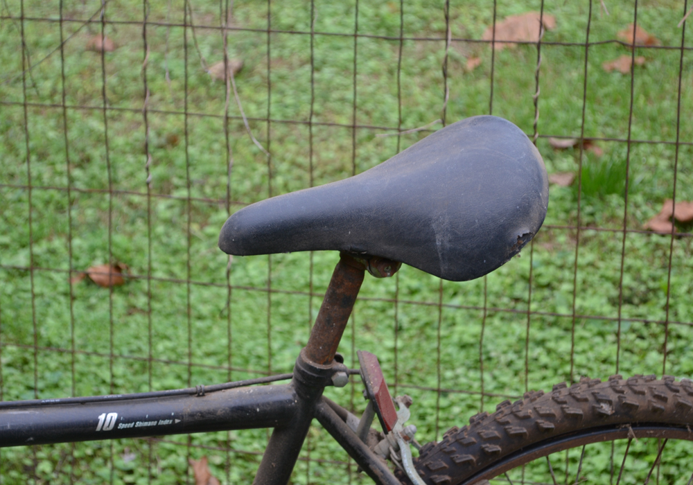 Magna Northern Ridge 10-Speed Bicycle