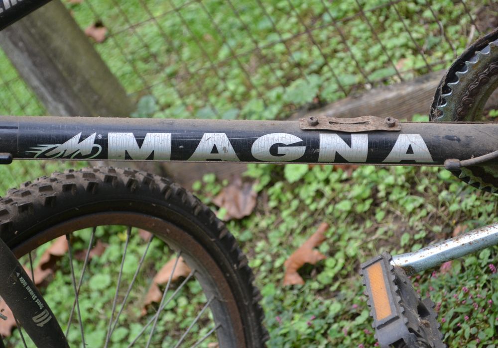 Magna Northern Ridge 10-Speed Bicycle