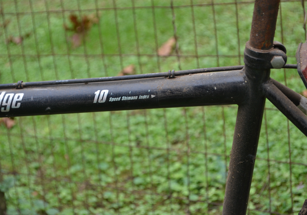 Magna Northern Ridge 10-Speed Bicycle