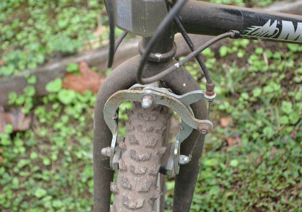 Magna Northern Ridge 10-Speed Bicycle