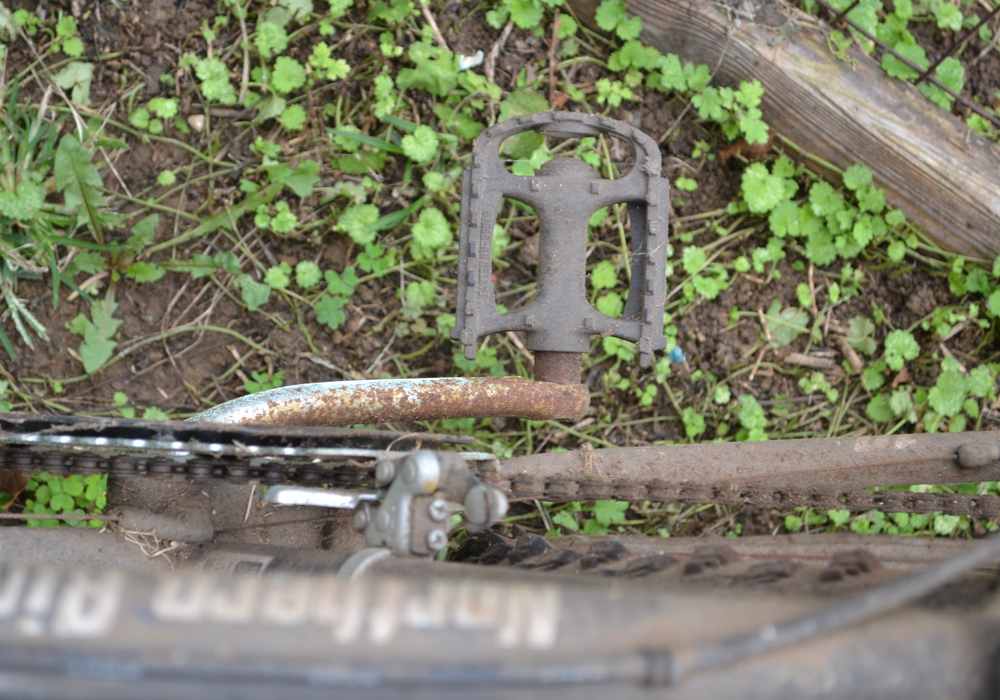 Magna Northern Ridge 10-Speed Bicycle