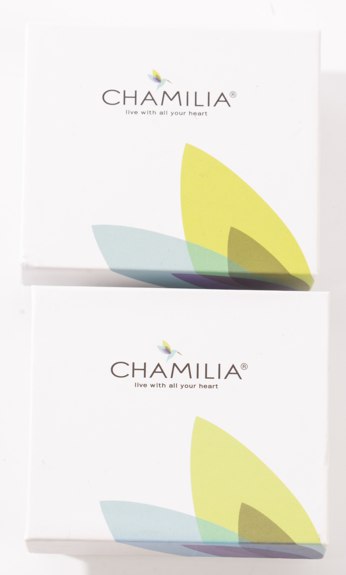 Sterling Silver Chamilia Heart Charms