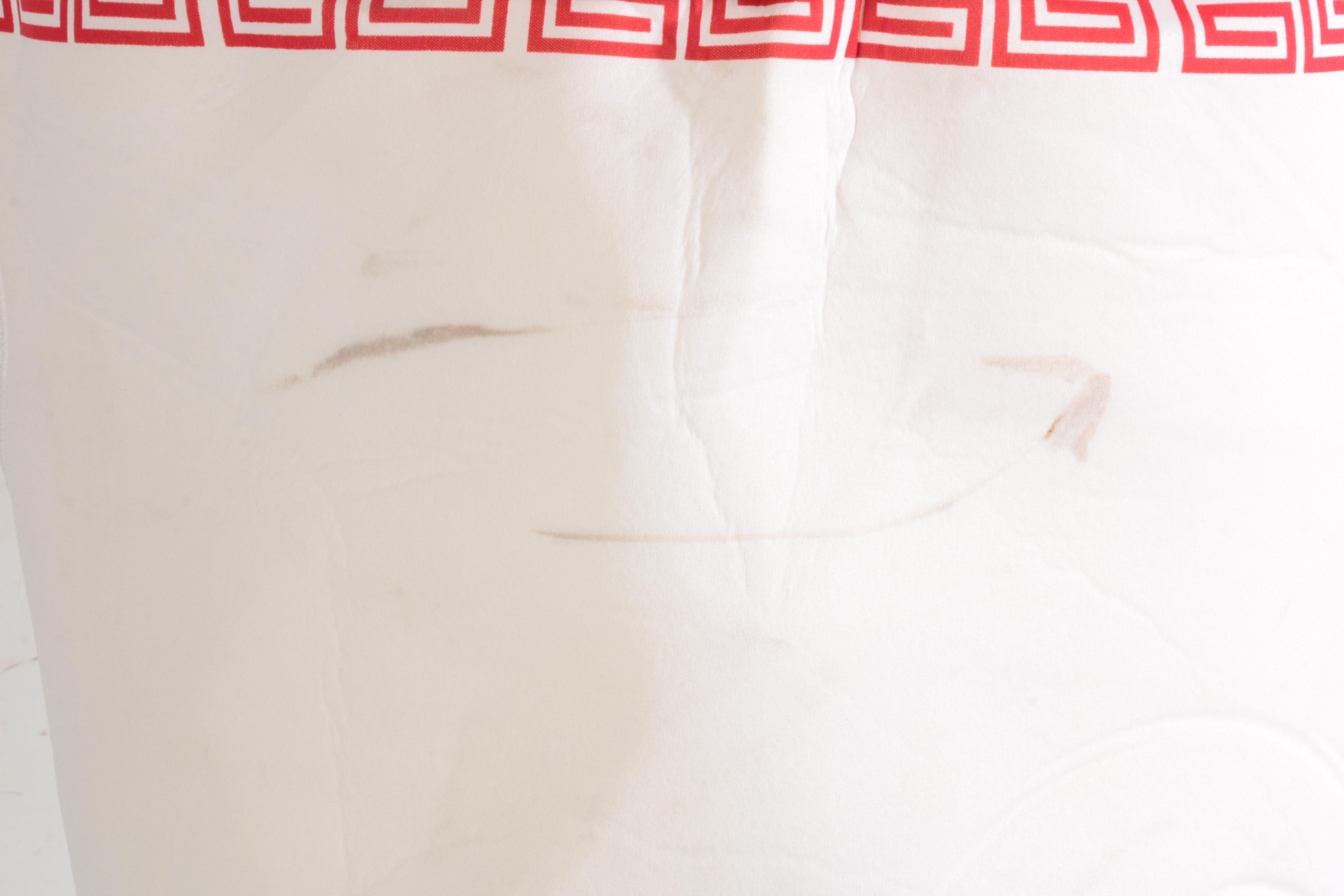 Ramen Noodle Costume