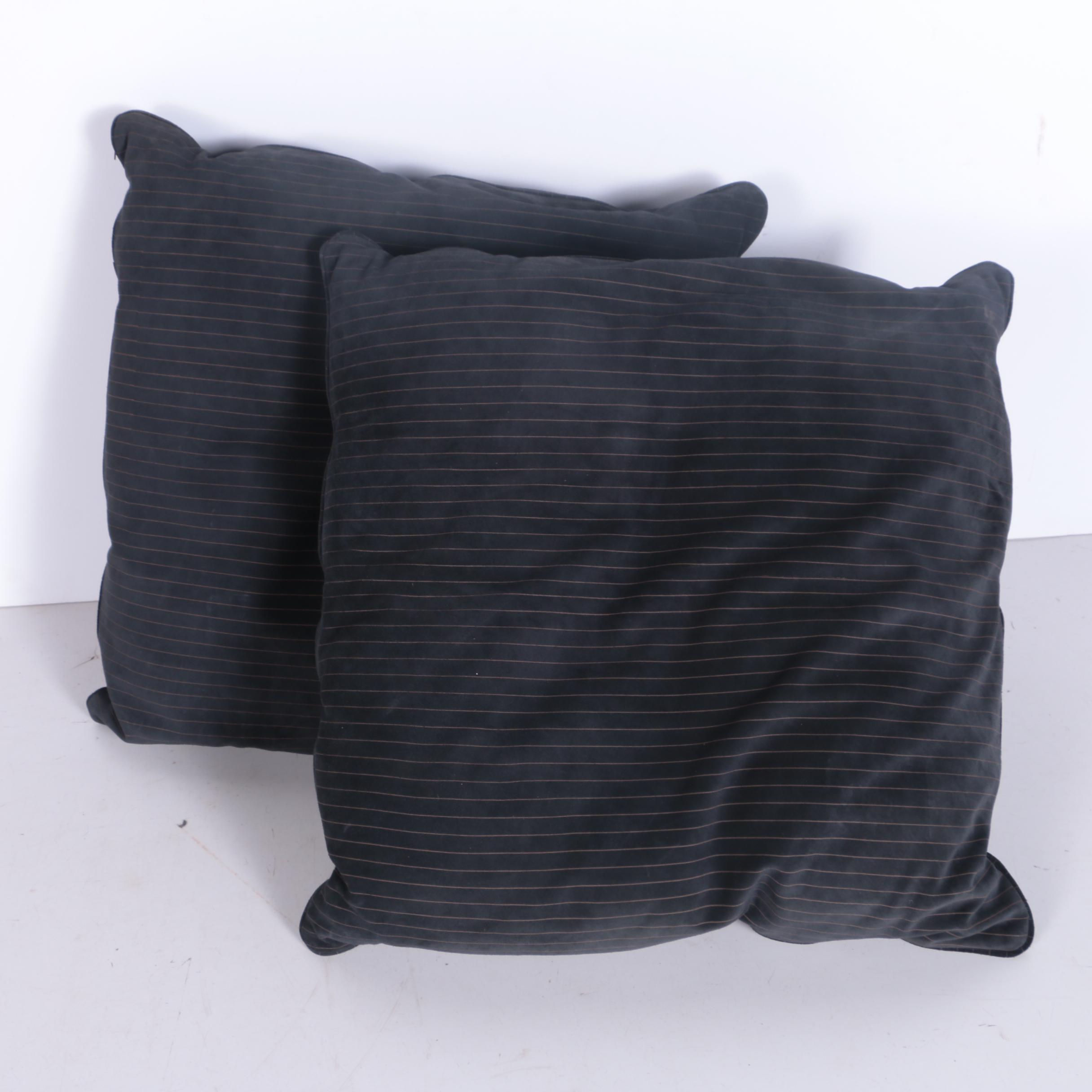 Pair of Throw Pillows