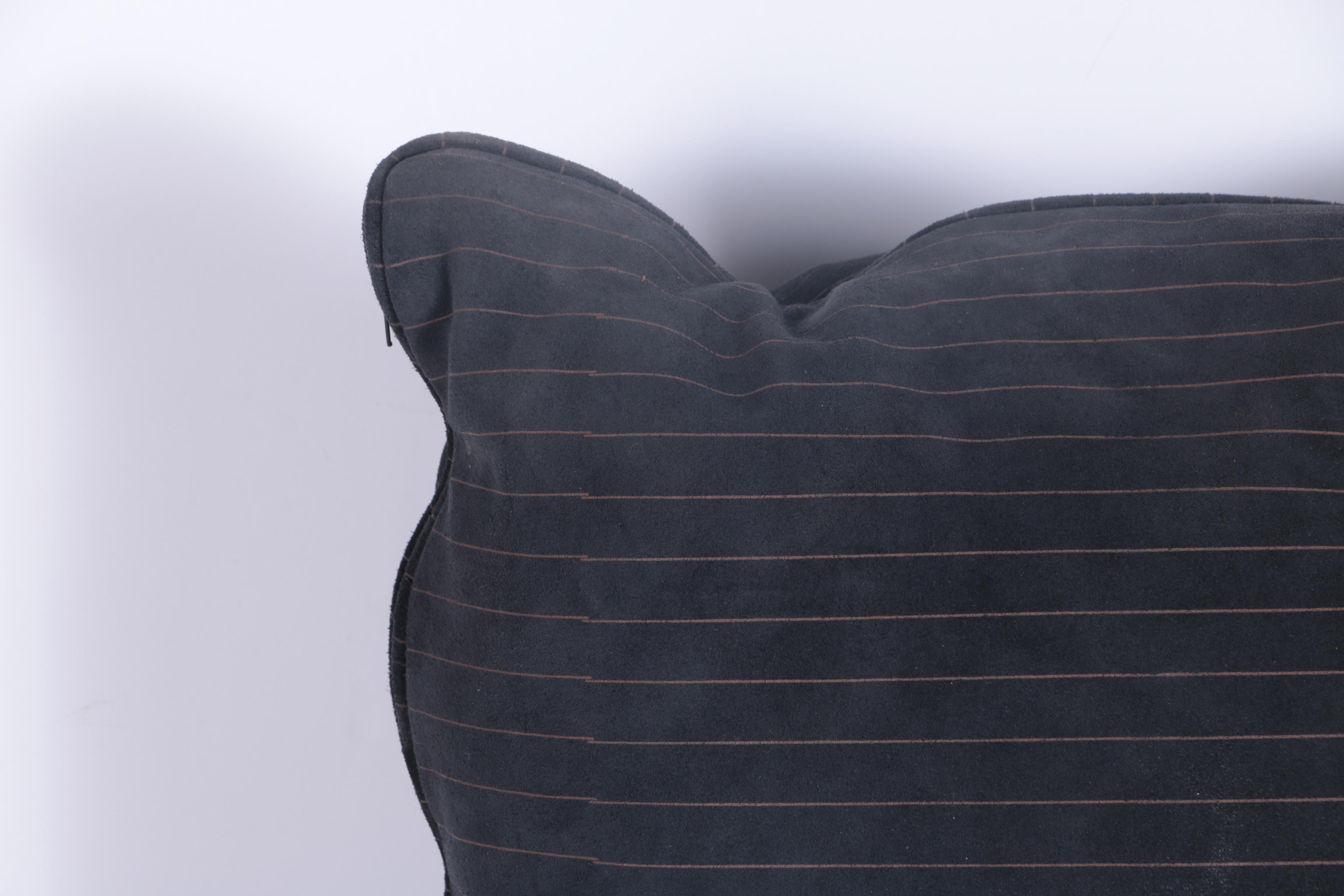 Pair of Throw Pillows