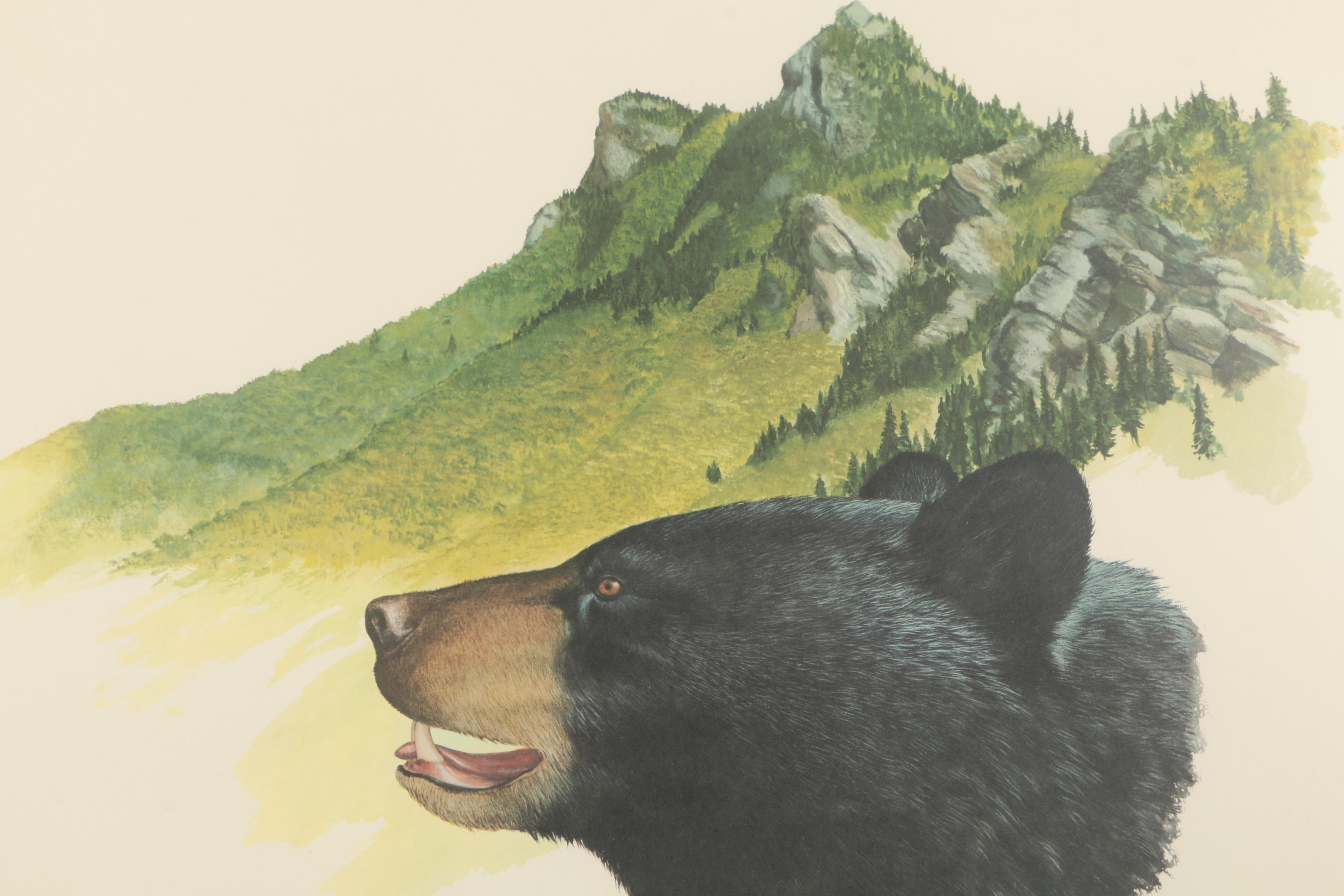 Ray Harm Offset Lithograph "Black Bear"